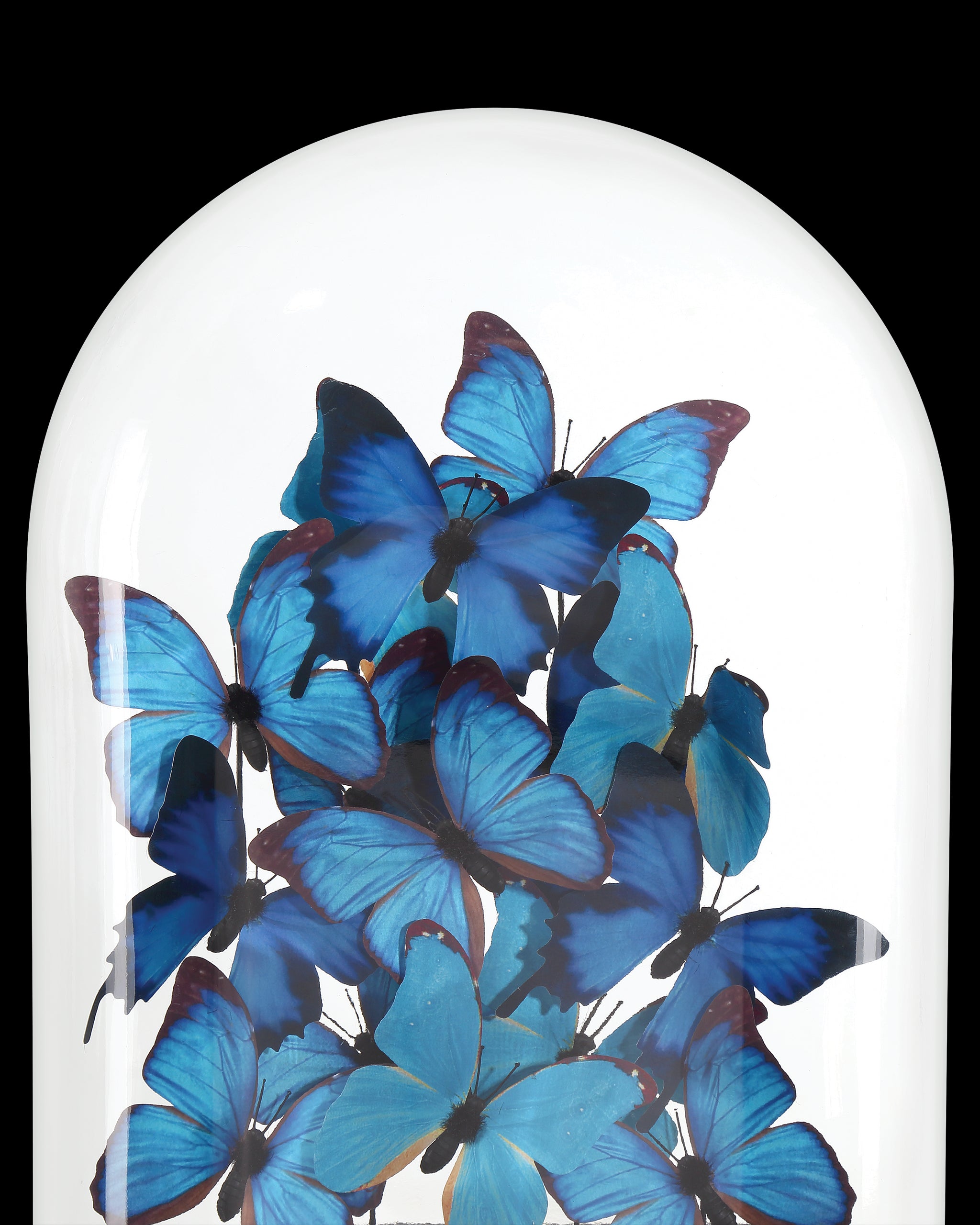 Currey & Company Rue De Bac Large Butterflies