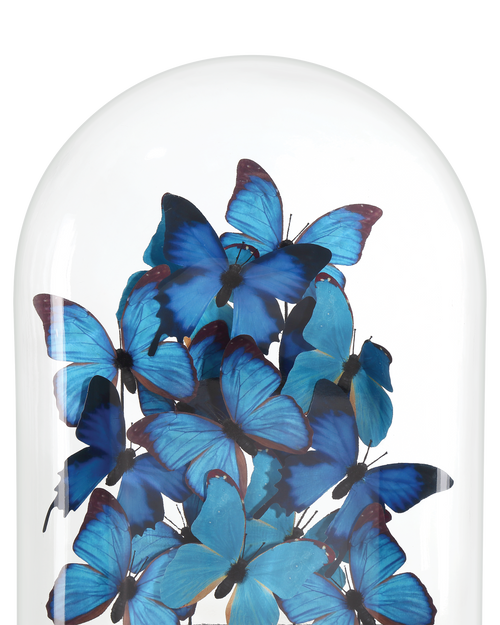 Currey & Company Rue De Bac Large Butterflies