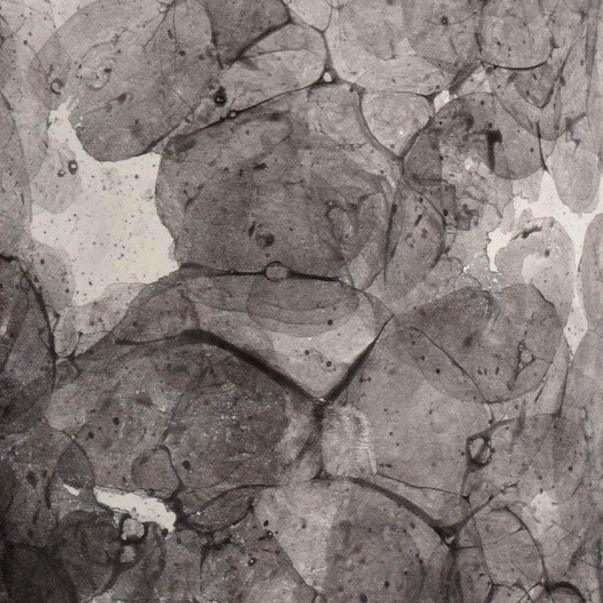 Wildwood Bolle Lamp Gray