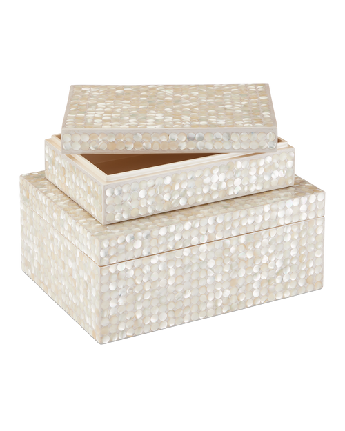 Currey & Company Gerri Dot Box Set Of 2