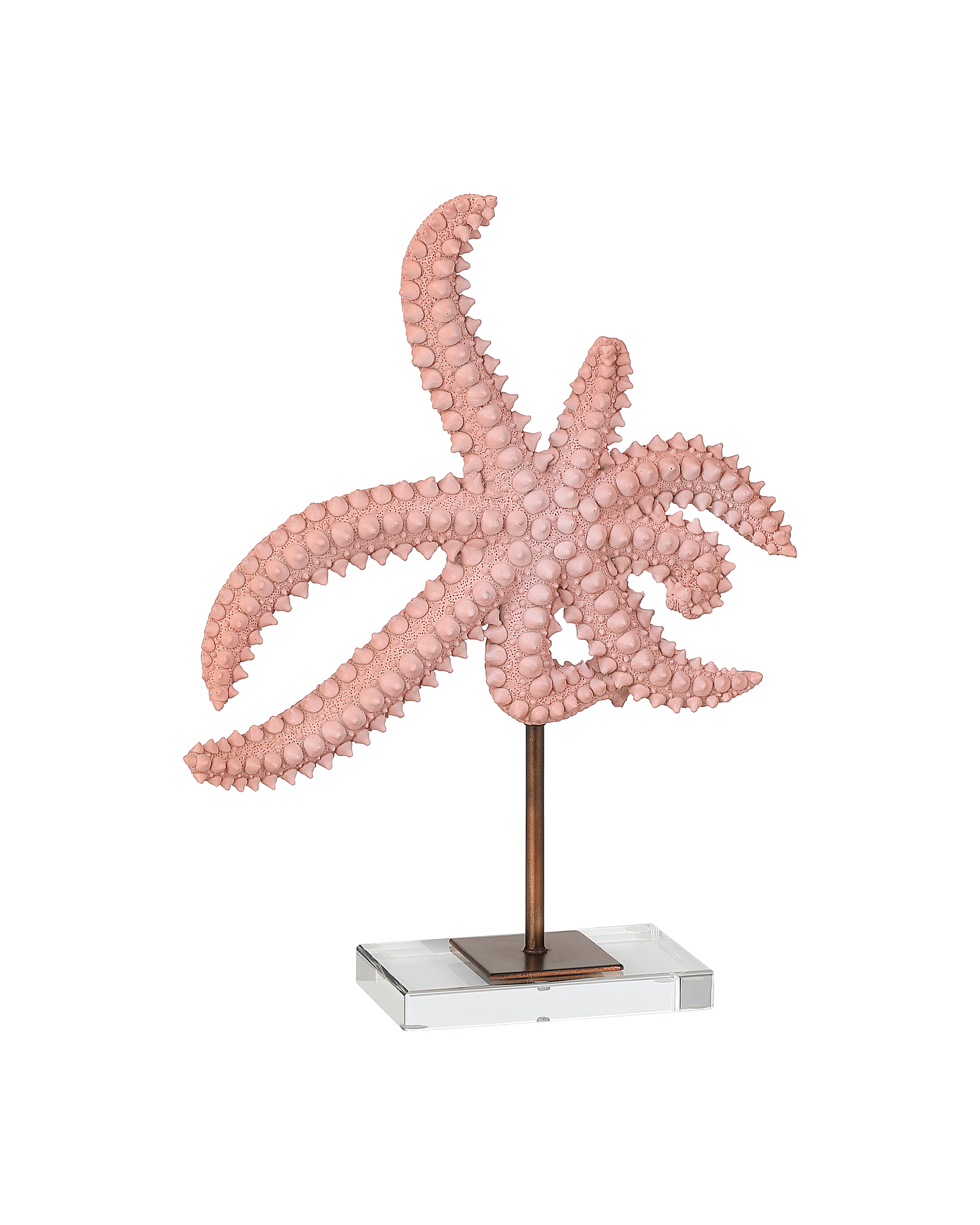 Currey & Company Starfish Set Of 2