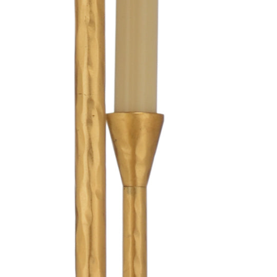 Wildwood Diego Lantern Chandelier