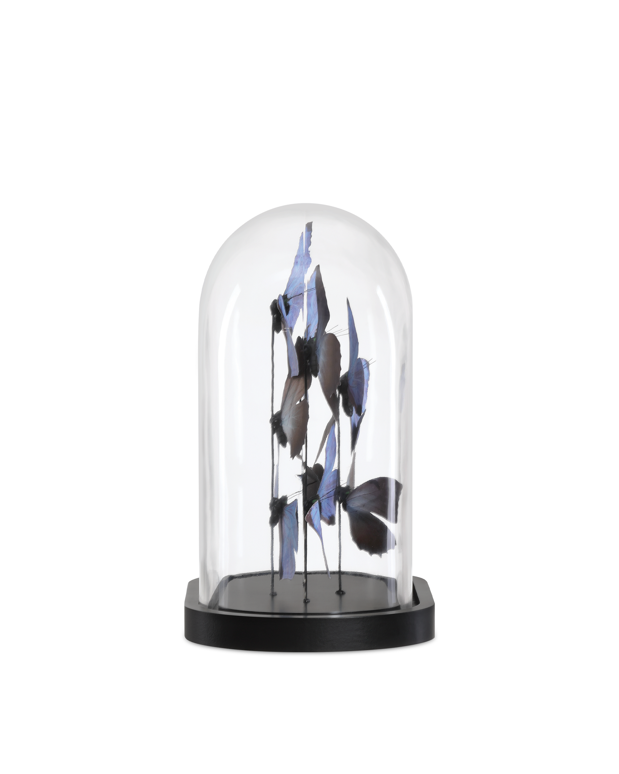 Currey & Company Rue De Bac Lilac Medium Butterflies