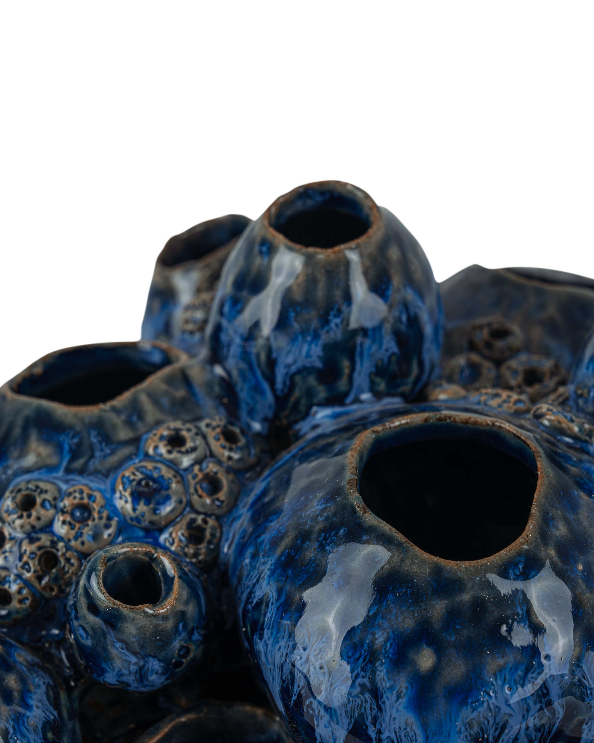 Currey & Company Sulawasi Blue Shells