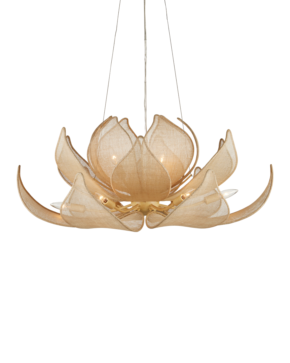 Currey & Company Oblivion Chandelier