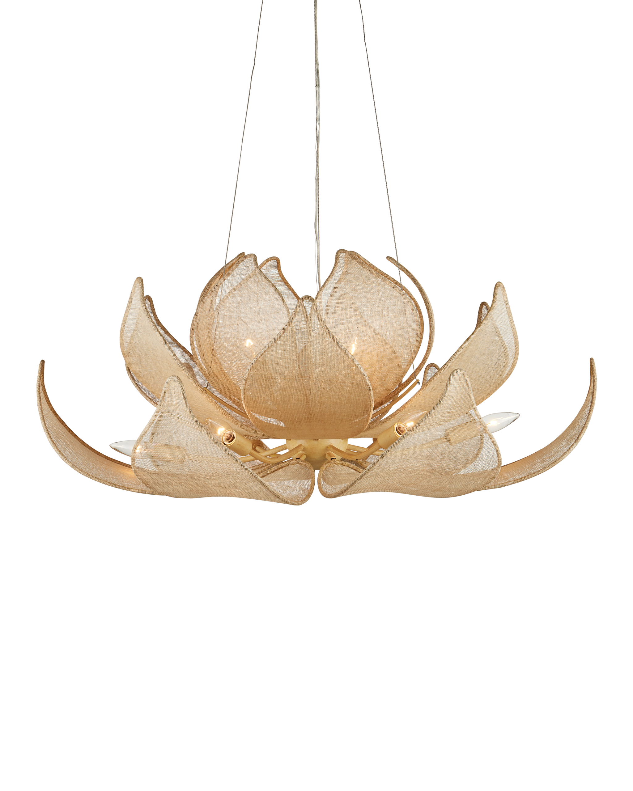 Currey & Company Oblivion Chandelier
