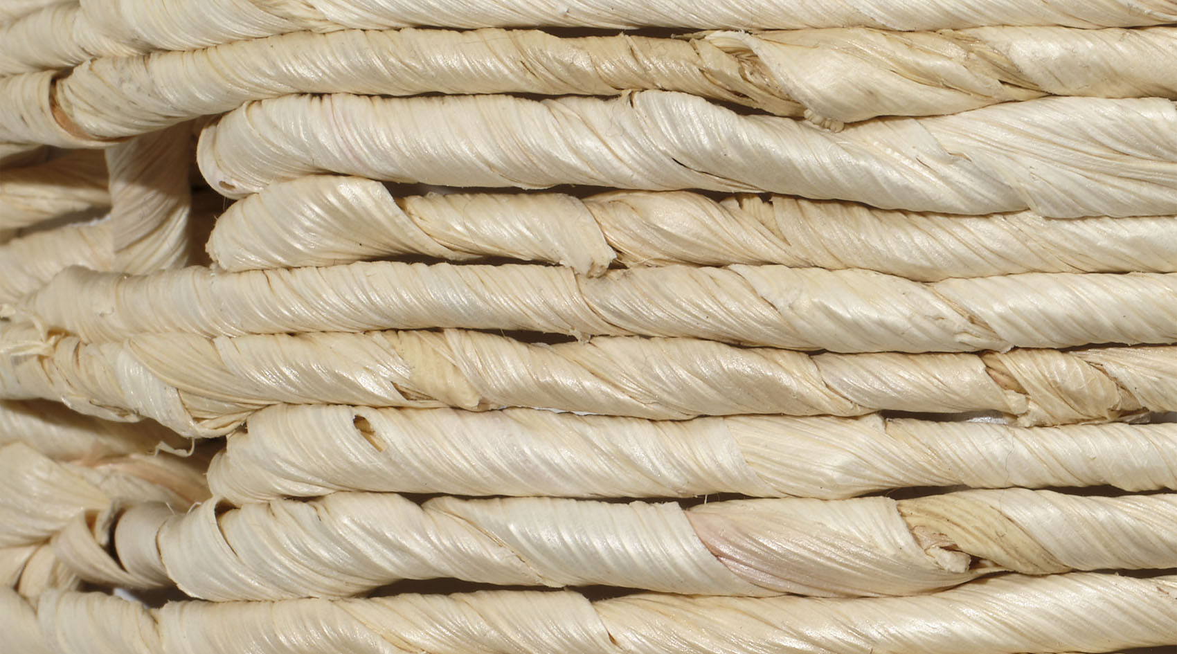 Jamie Young Hollis Rectangle Rope Floor Mirror