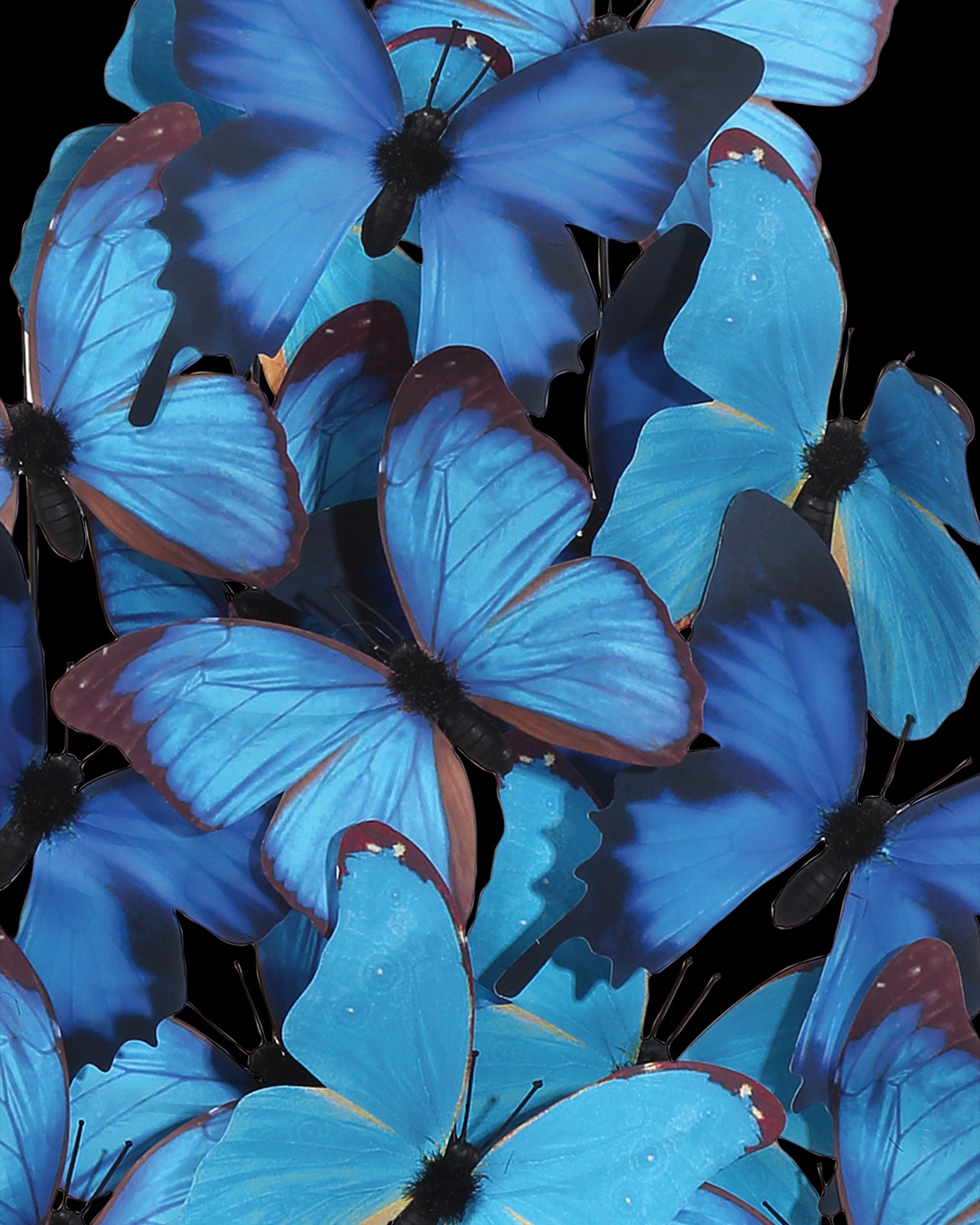 Currey & Company Rue De Bac Large Butterflies