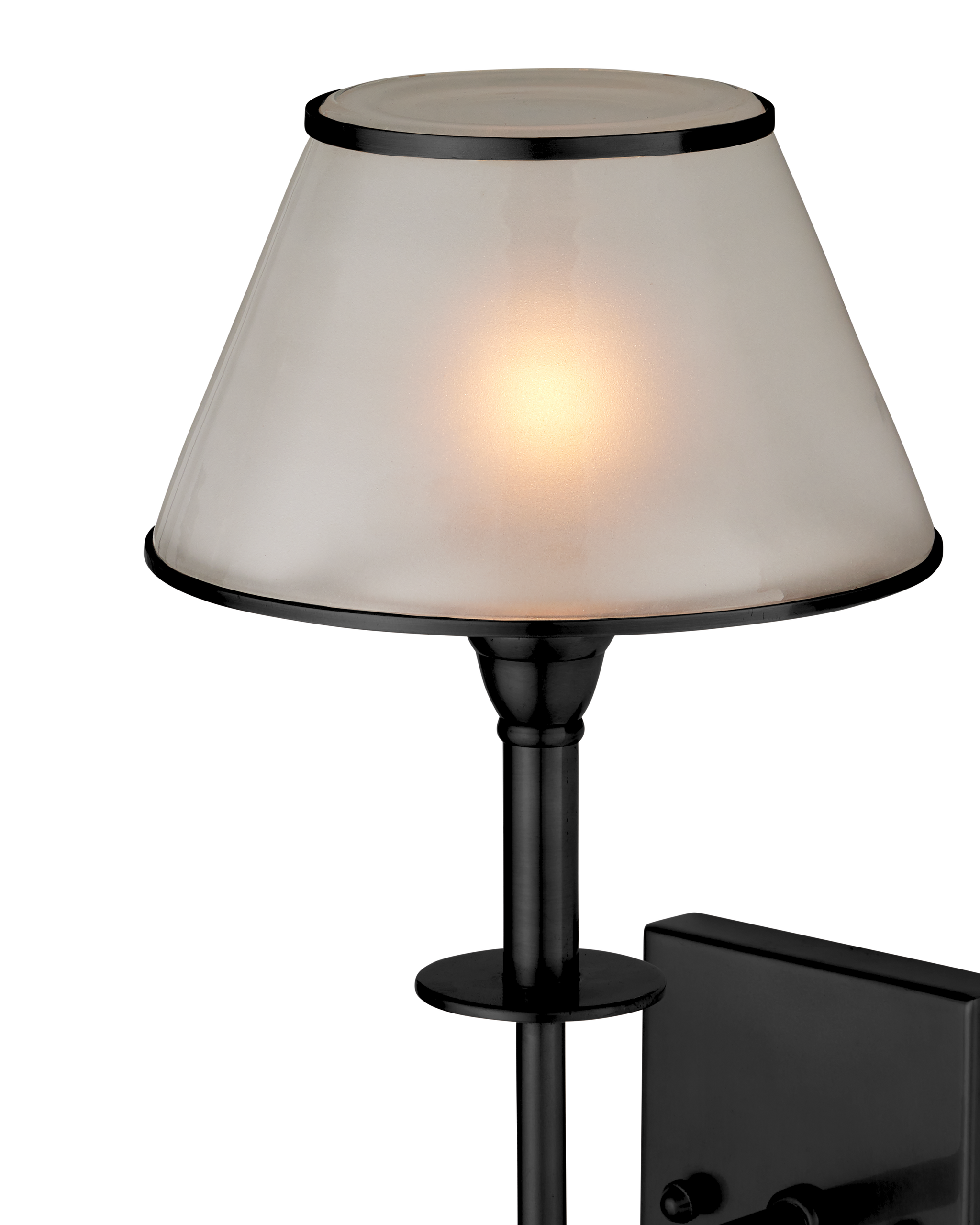 Currey & Company Ronaldo Outdoor Wall Sconce