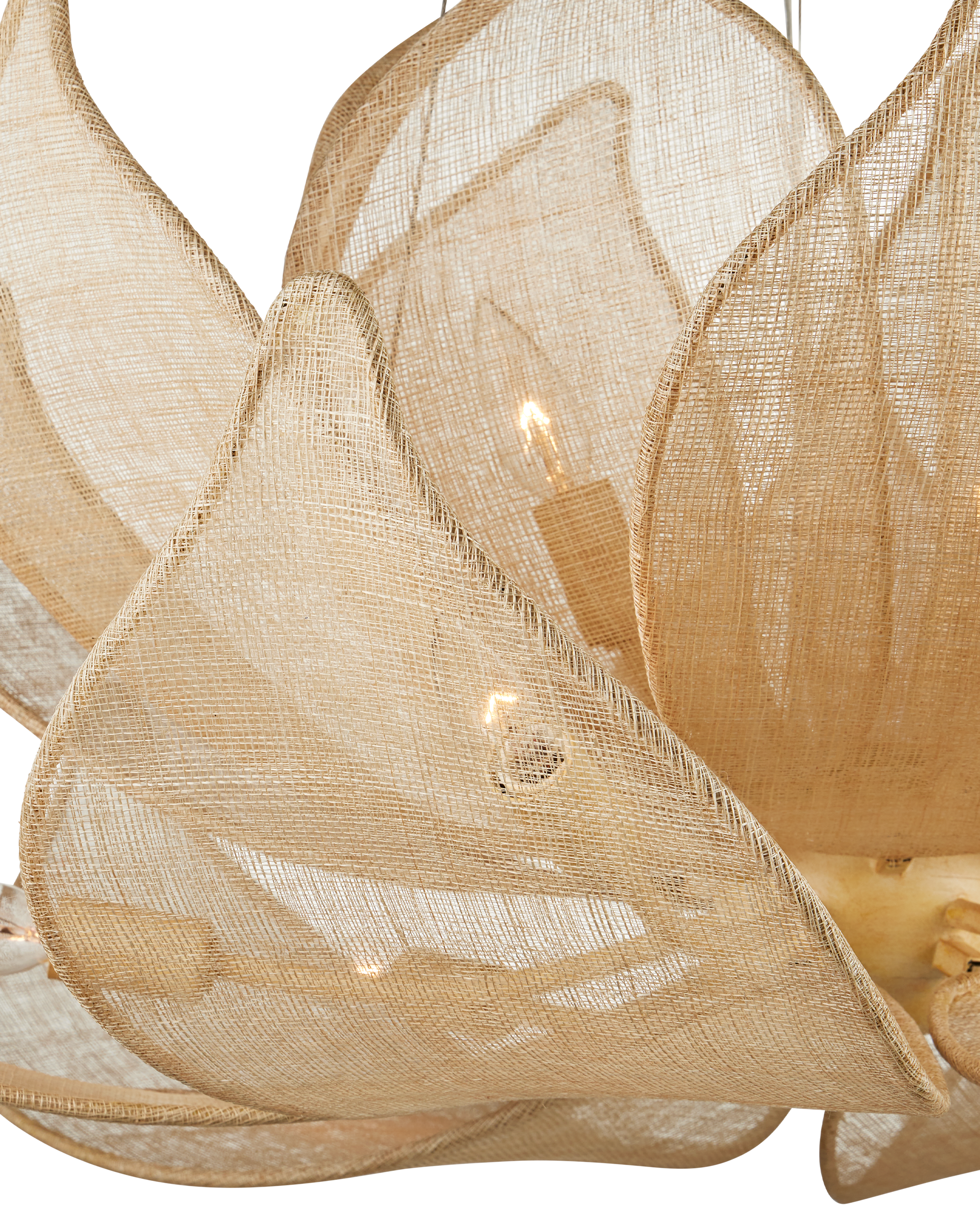Currey & Company Oblivion Chandelier