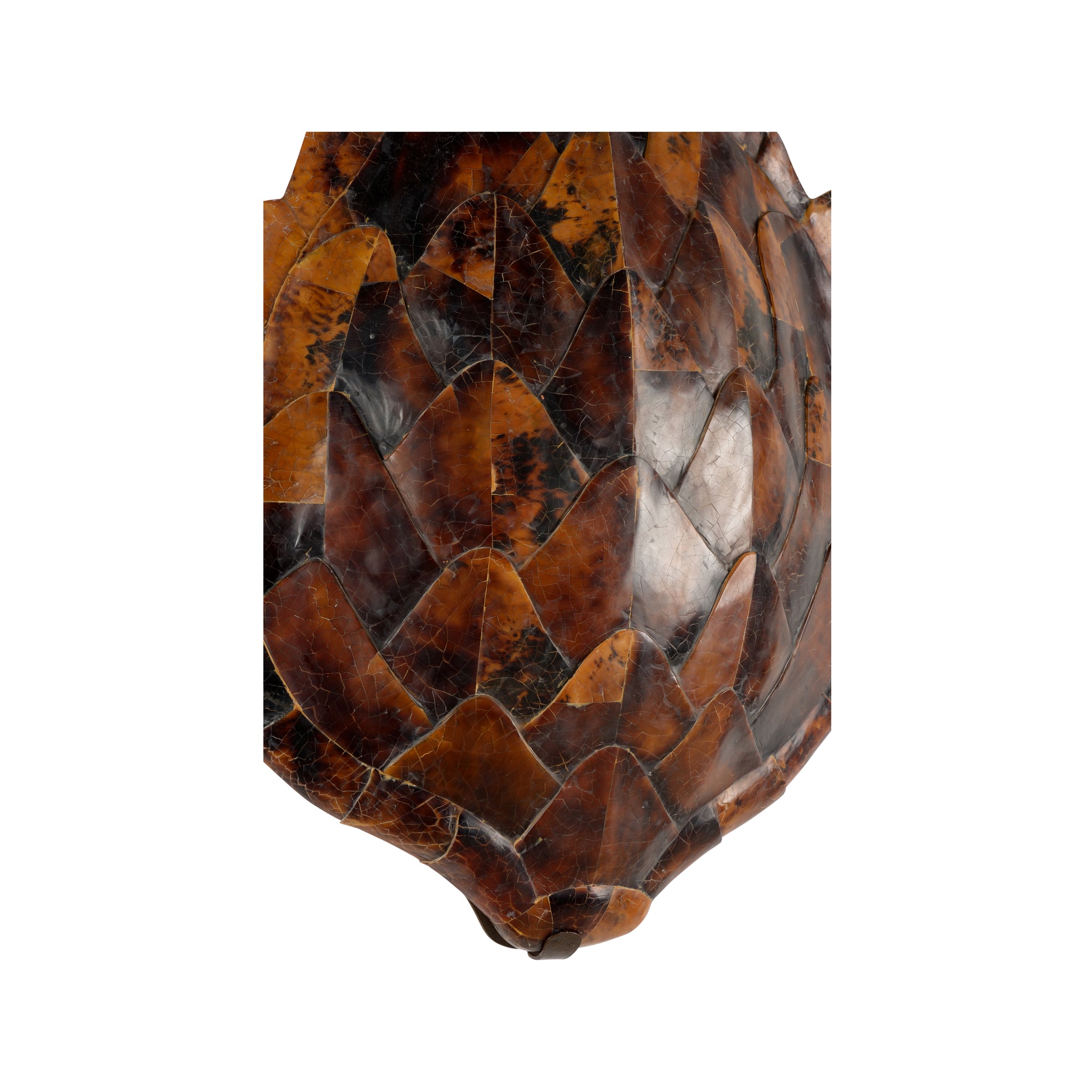 Chelsea House Penshell Sconce
