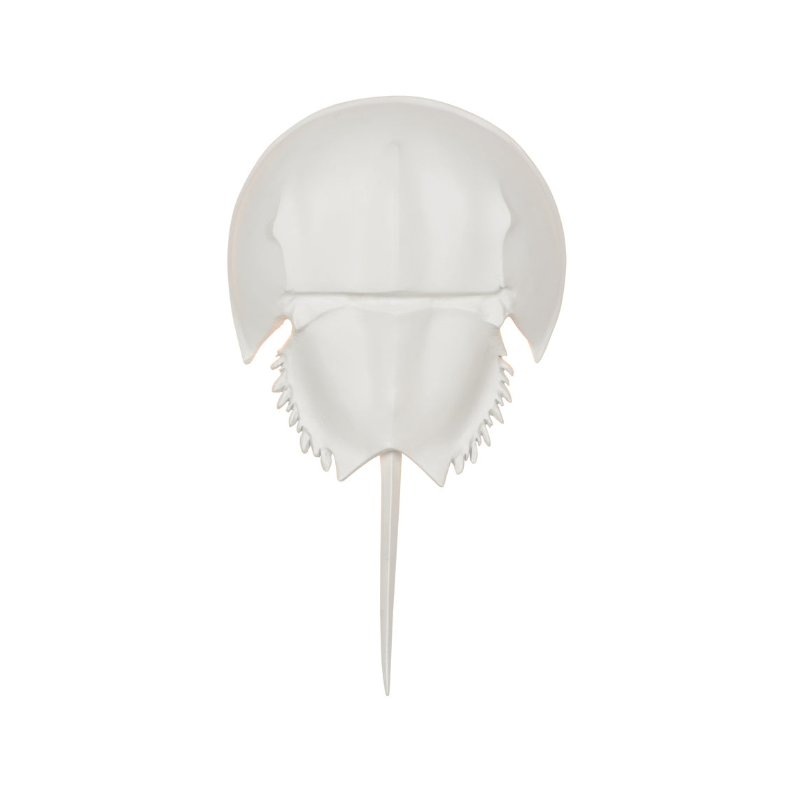 Chelsea House Horseshoe Crab Sconce White