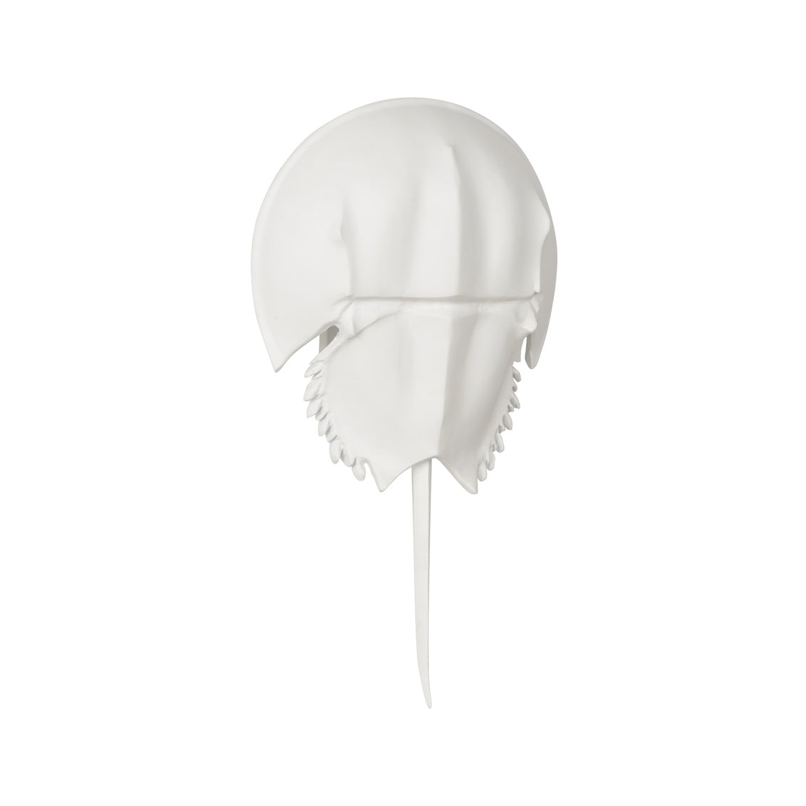 Chelsea House Horseshoe Crab Sconce White