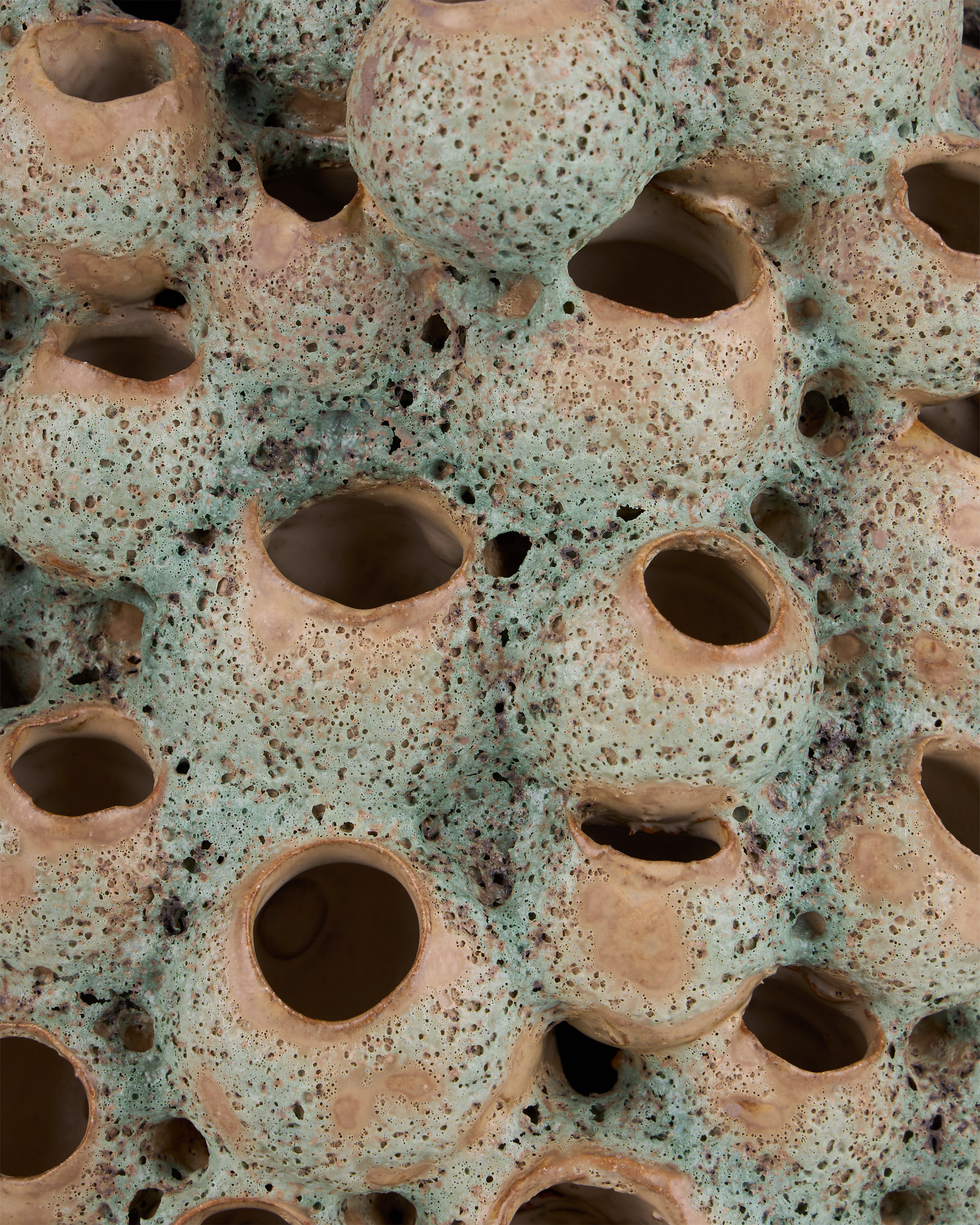 Currey & Company Sunken Boat Barnacle Object