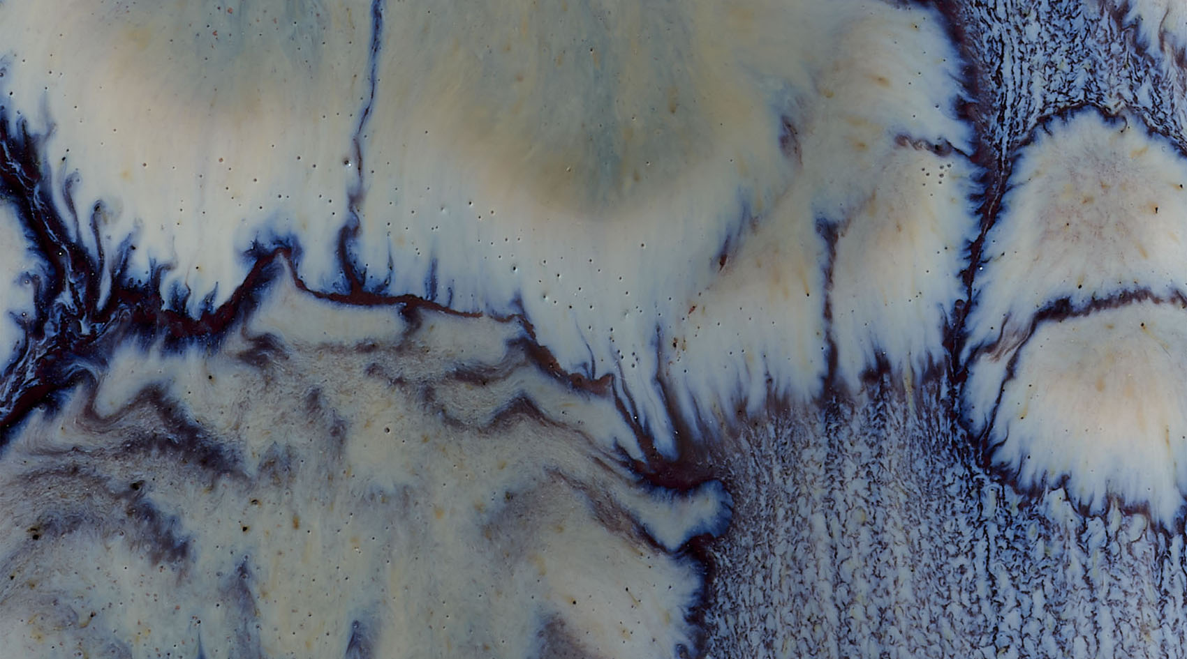 Jamie Young Cloud Ceramic Decorative Vase, Large