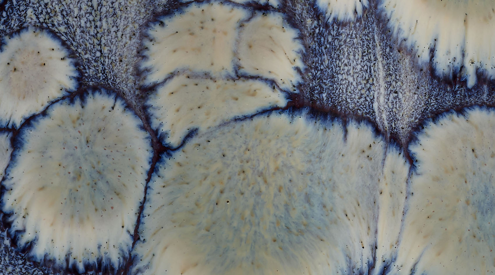 Jamie Young Cloud Ceramic Decorative Set Of 2 Vases