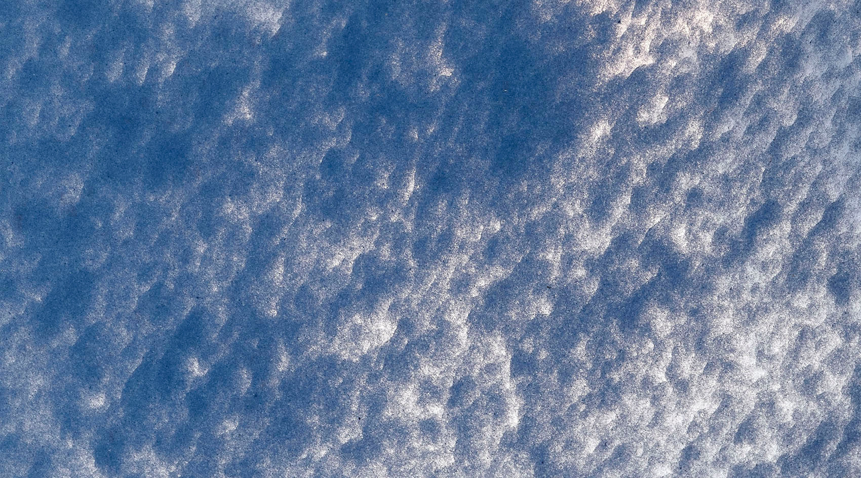 Jamie Young Plunge Blown Glass Vase