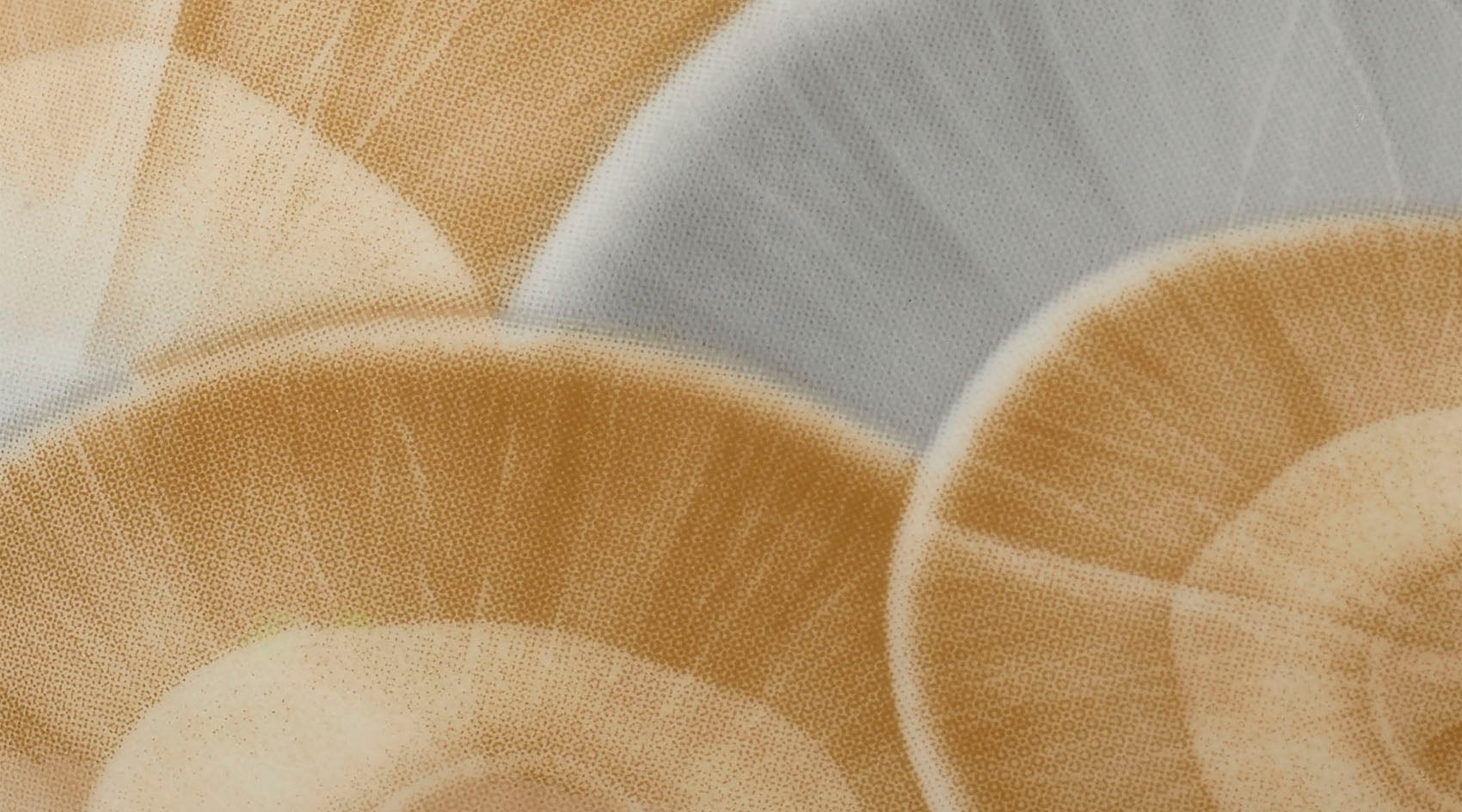 Jamie Young Pura Ceramic Decorative Vase