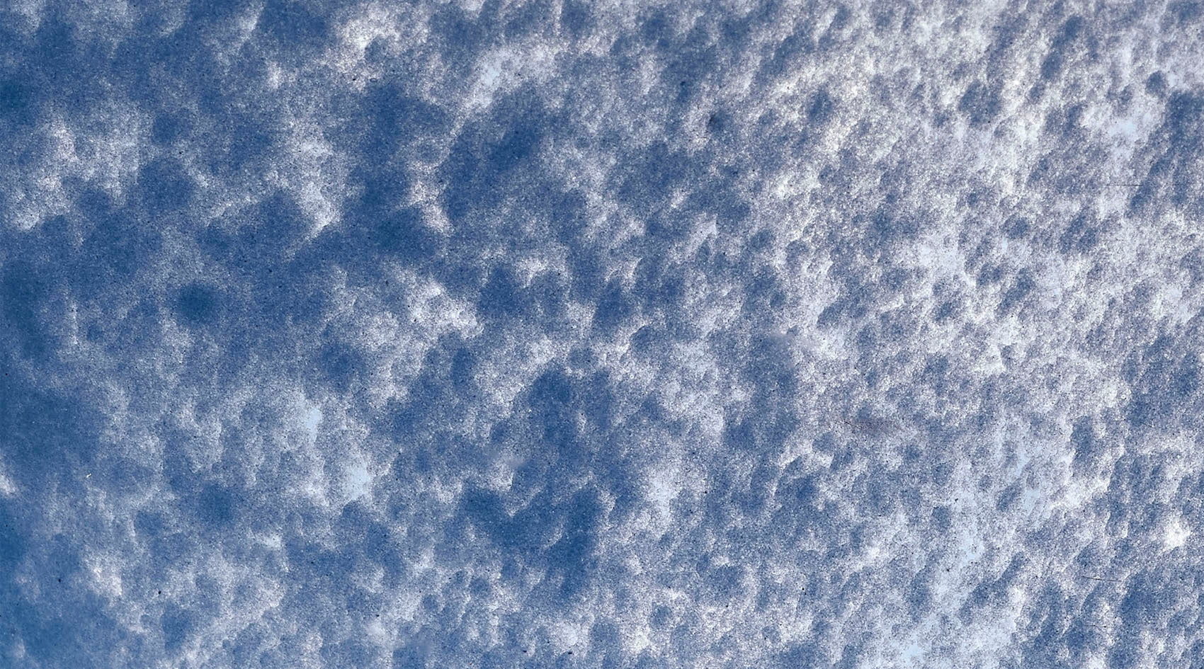 Jamie Young Splash Blown Glass Bowl