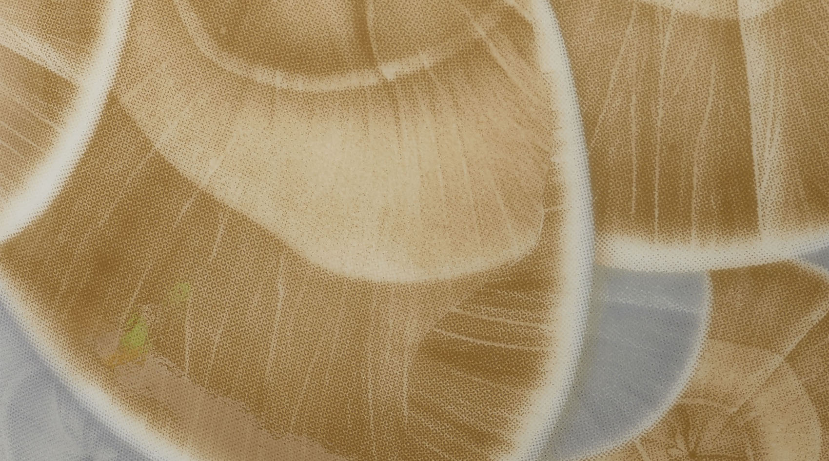 Jamie Young Tranquil Ceramic Decorative Vase