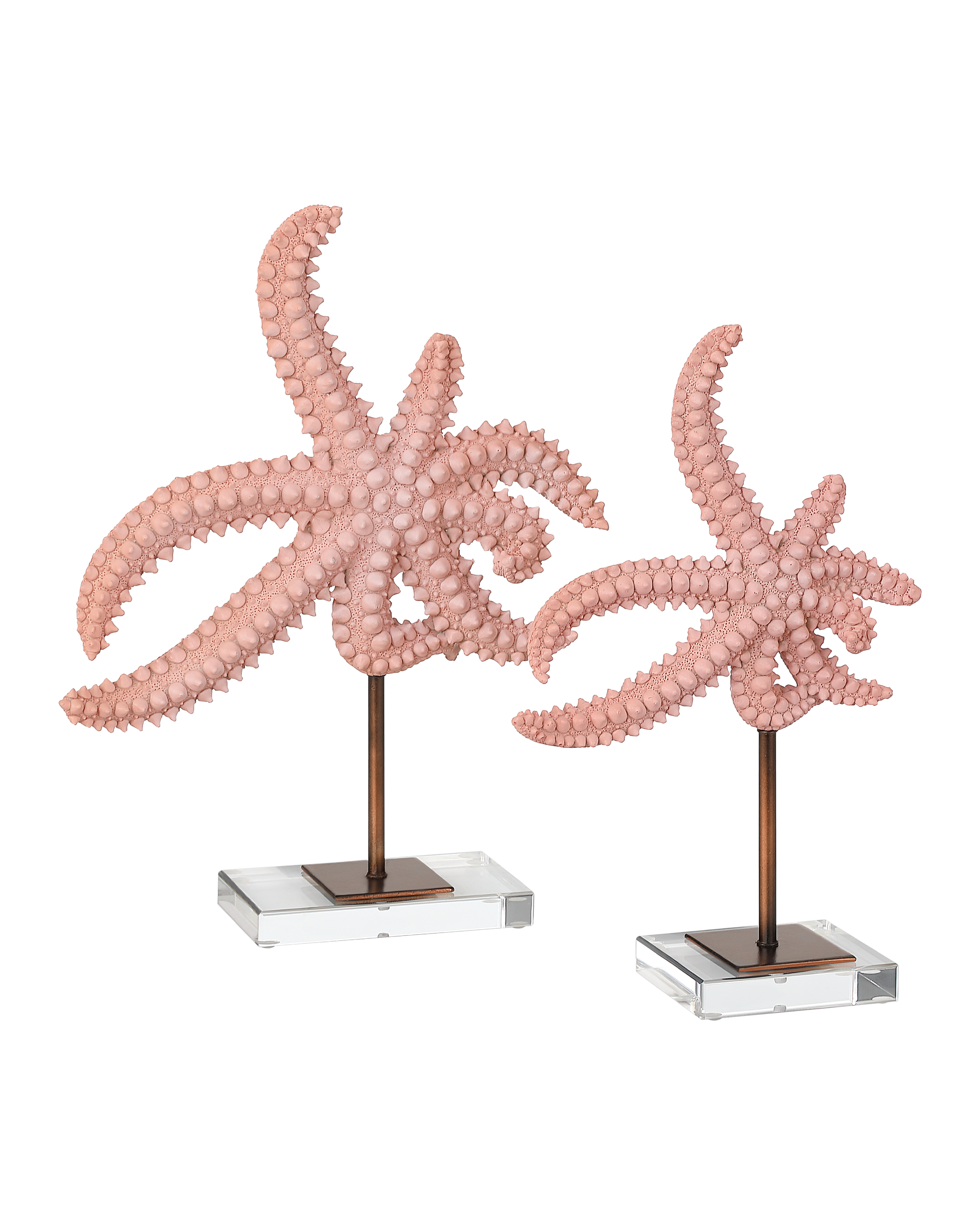Currey & Company Starfish Set Of 2