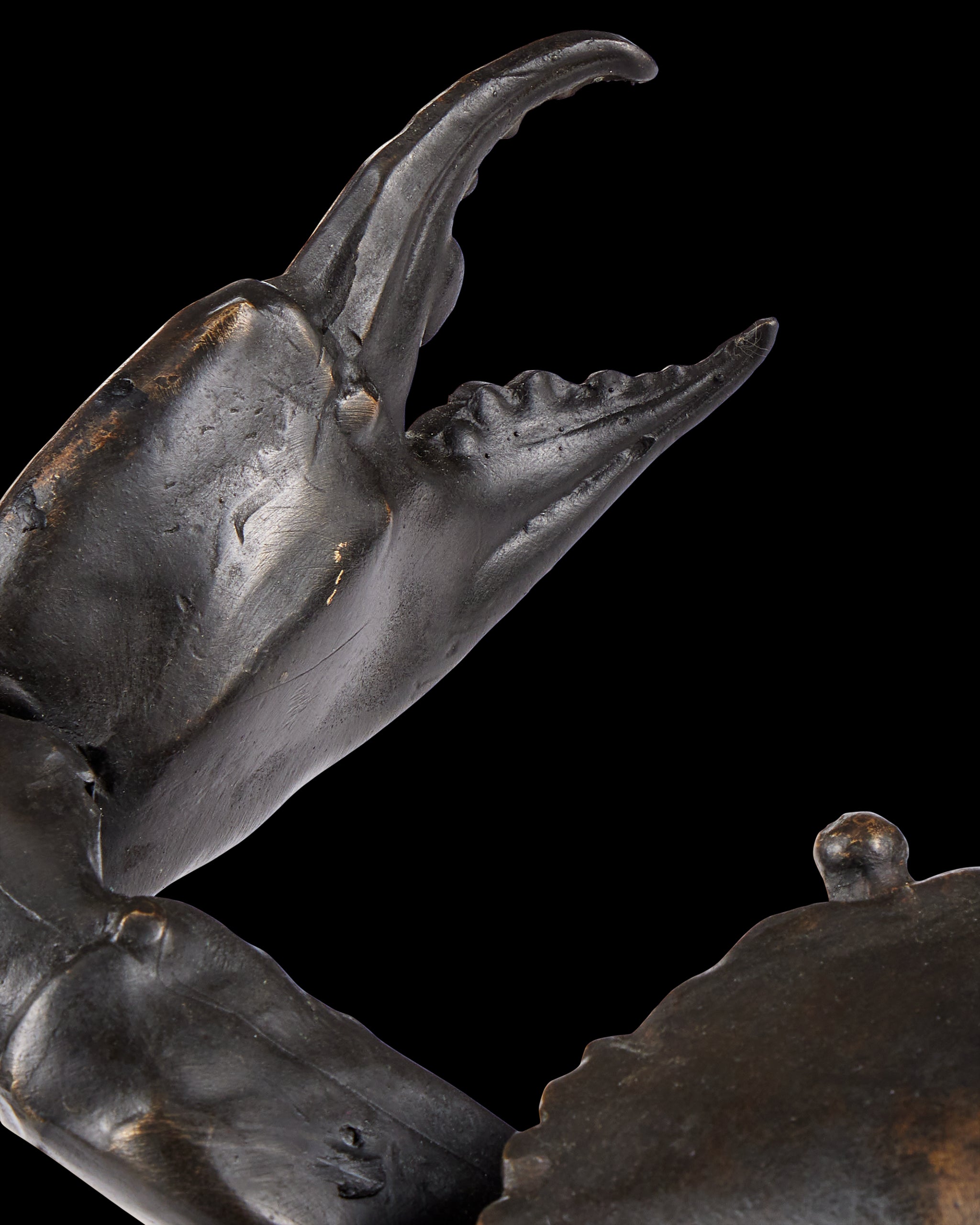 Currey & Company Crab Bronze