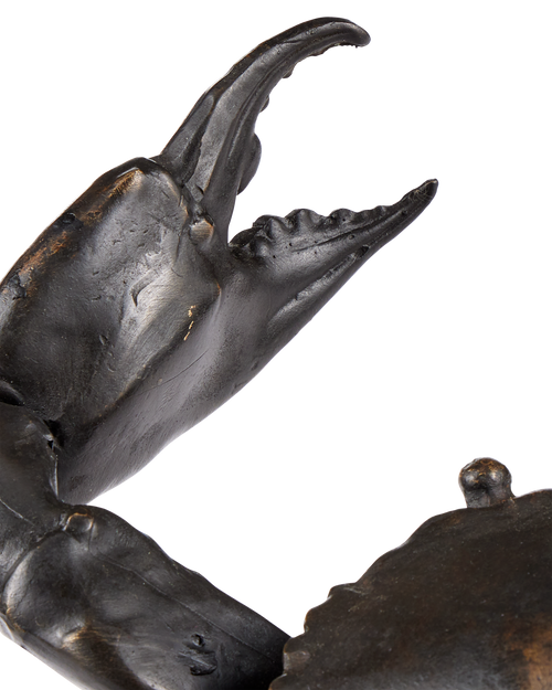 Currey & Company Crab Bronze