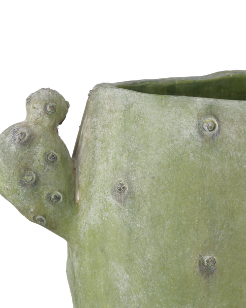 Currey & Company Cactus Vase Set Of 3