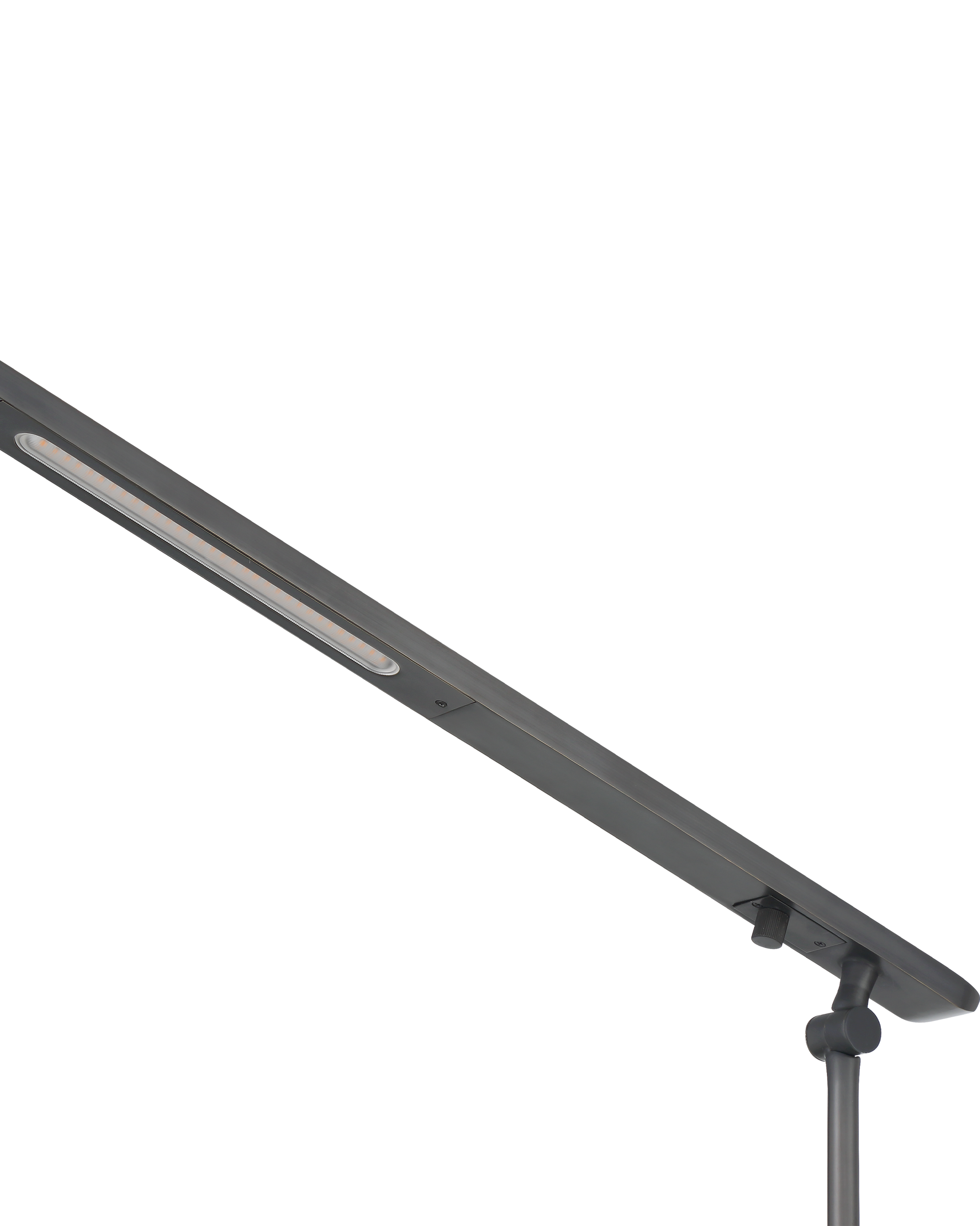 Currey & Company Hanford Floor Lamp