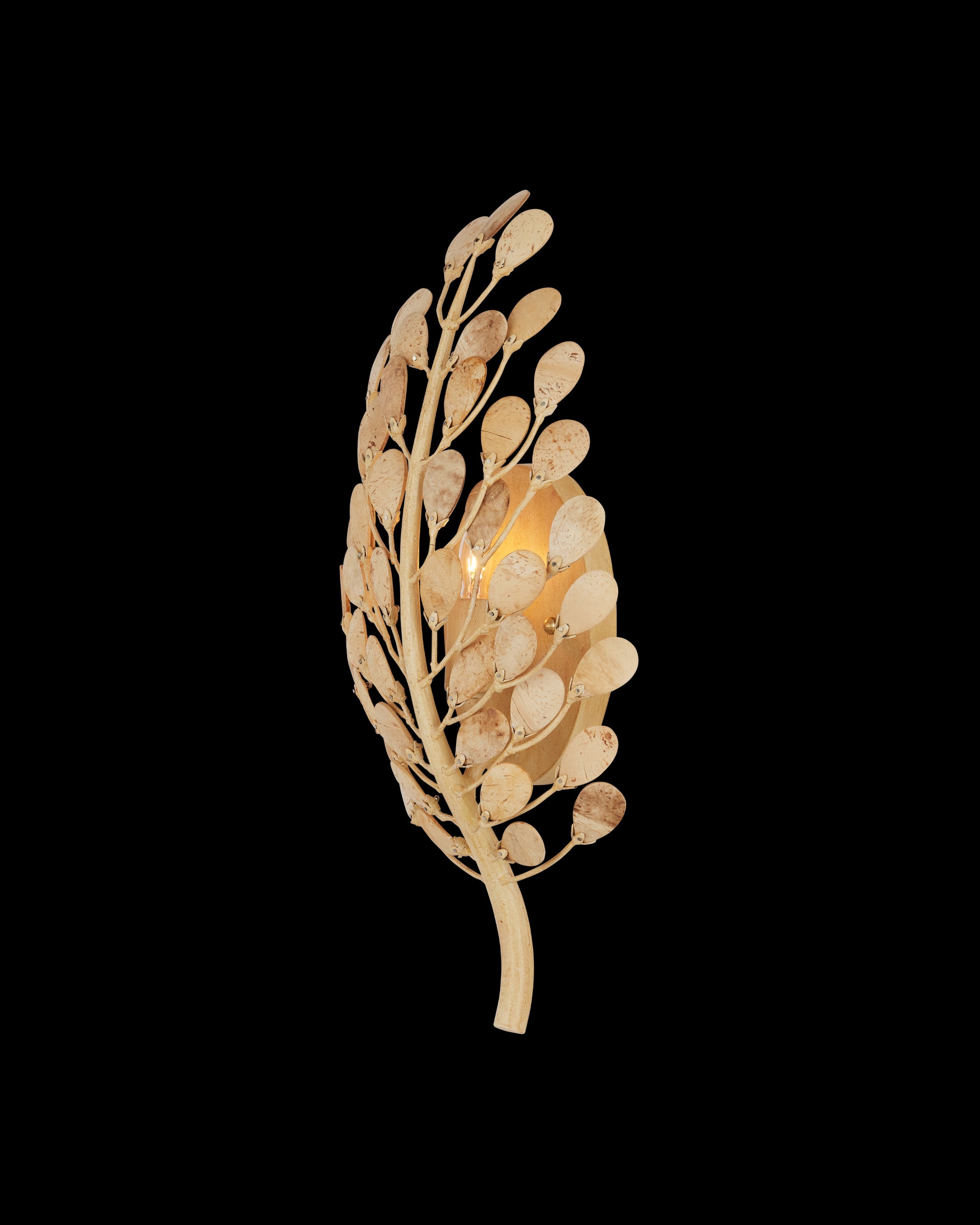 Currey & Company Maypan Wall Sconce