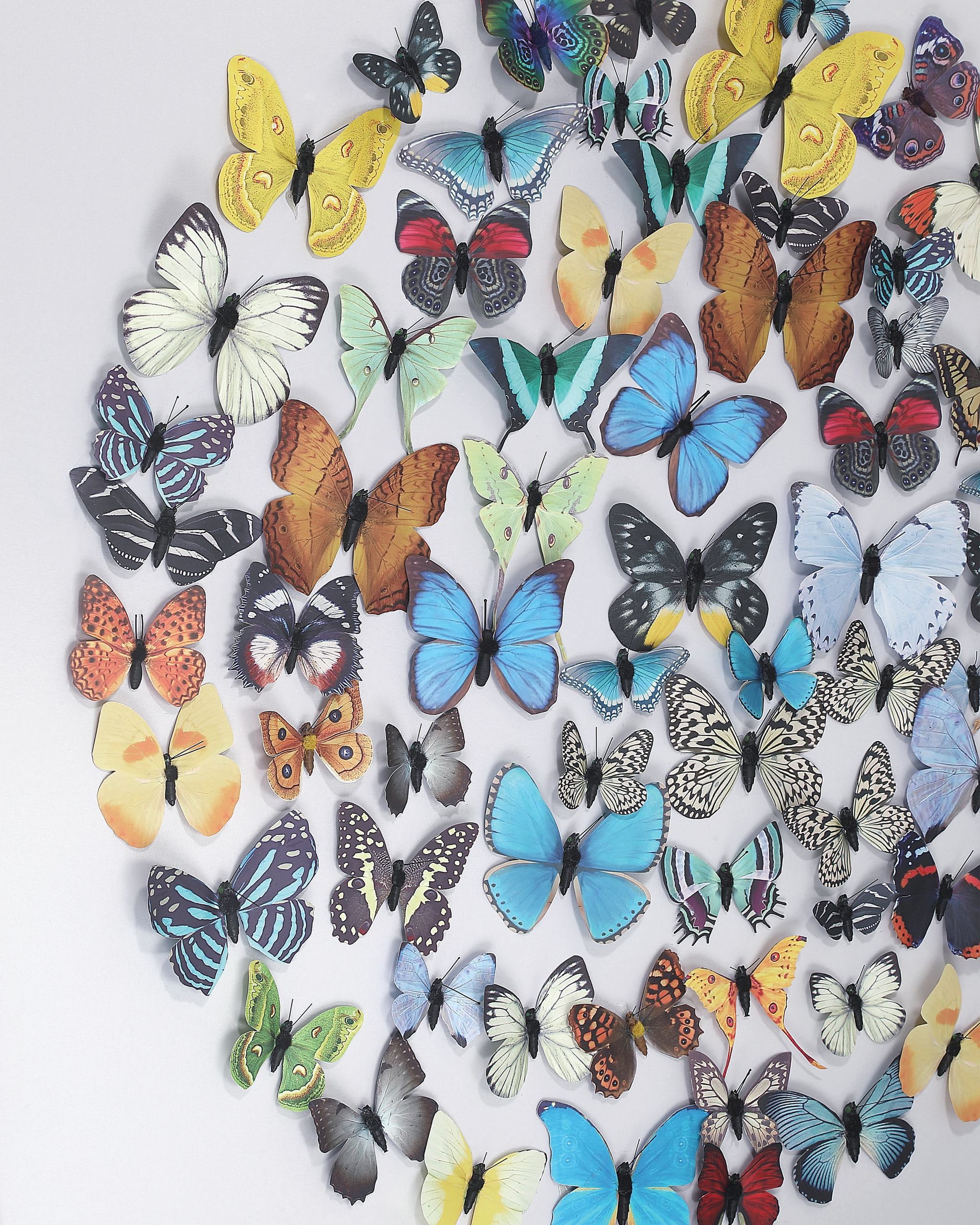 Currey & Company Chroma Wall Art