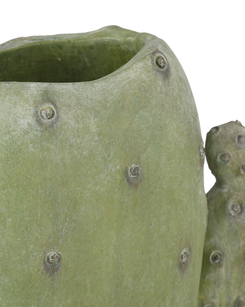 Currey & Company Cactus Vase Set Of 3