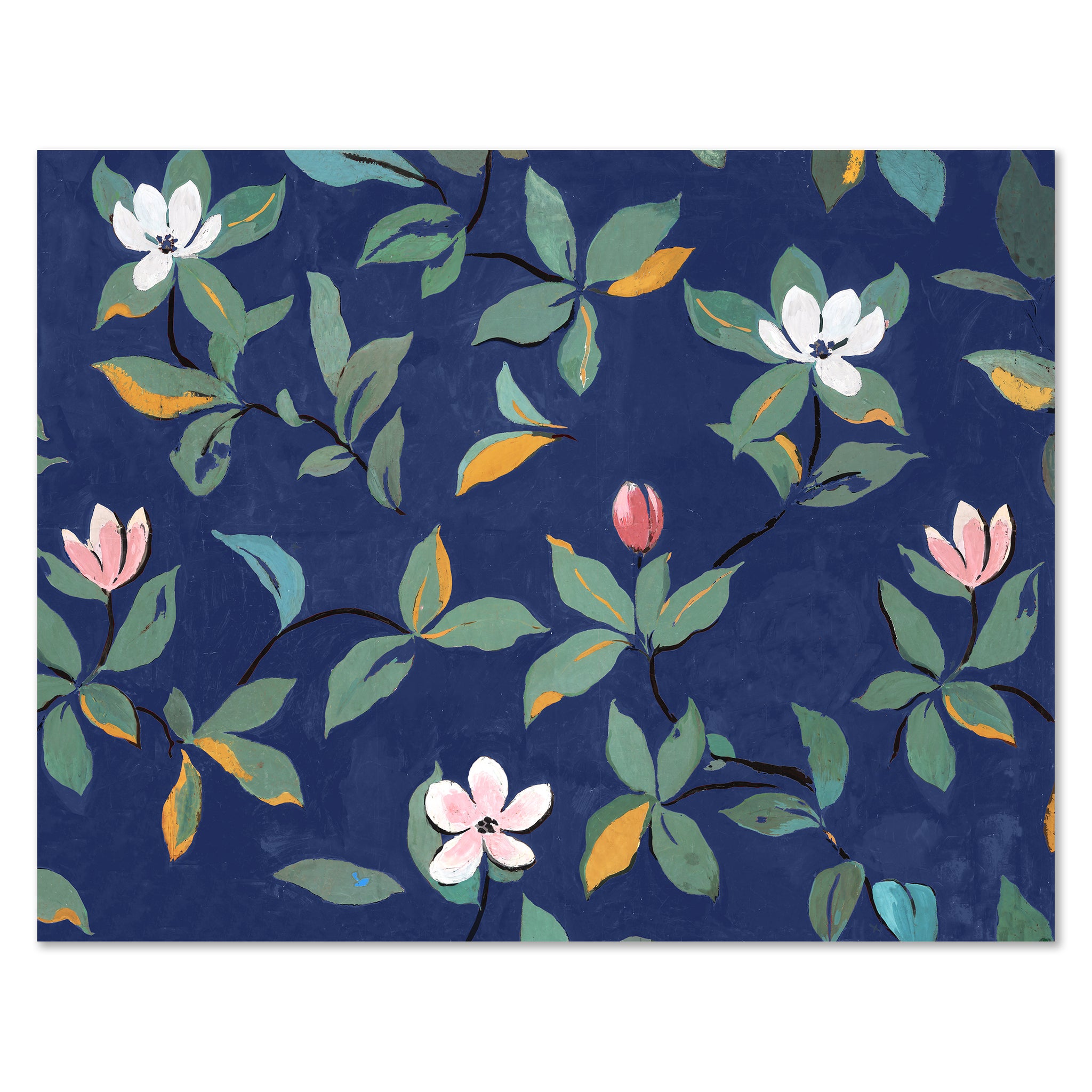 Paule Marrot Magnolias Art Print