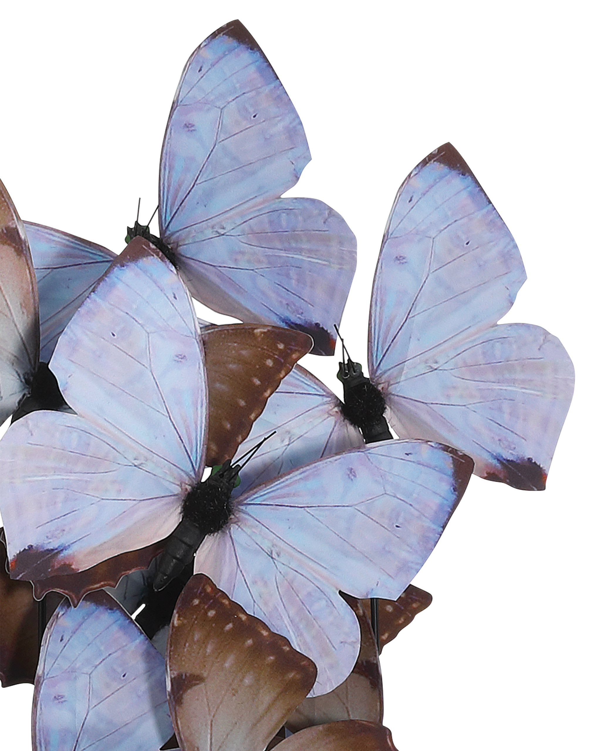 Currey & Company Rue De Bac Lilac Medium Butterflies