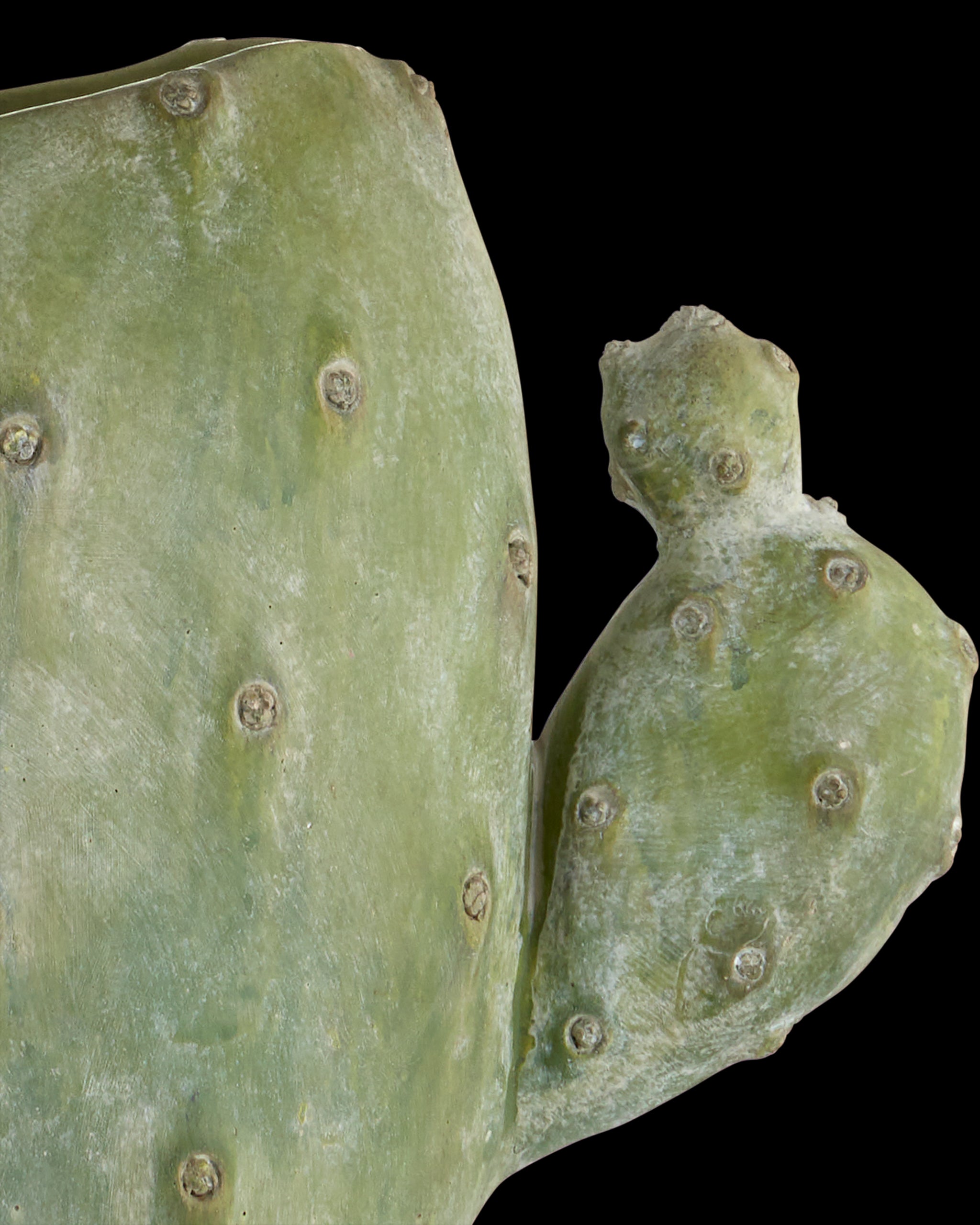 Currey & Company Cactus Table Lamp