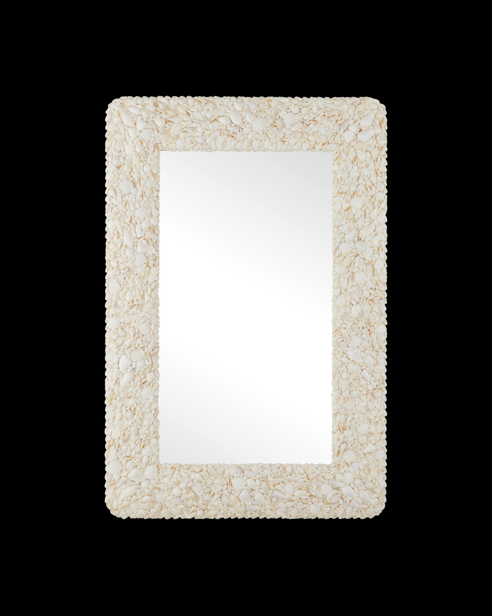 Currey & Company Turbinella Rectangular Mirror