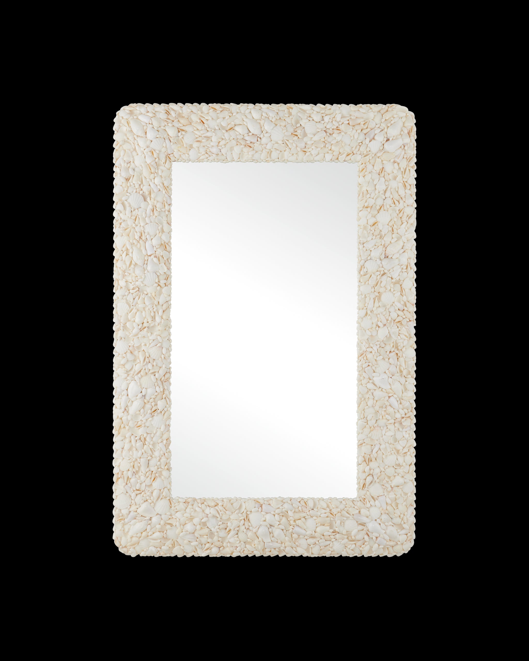 Currey & Company Turbinella Rectangular Mirror