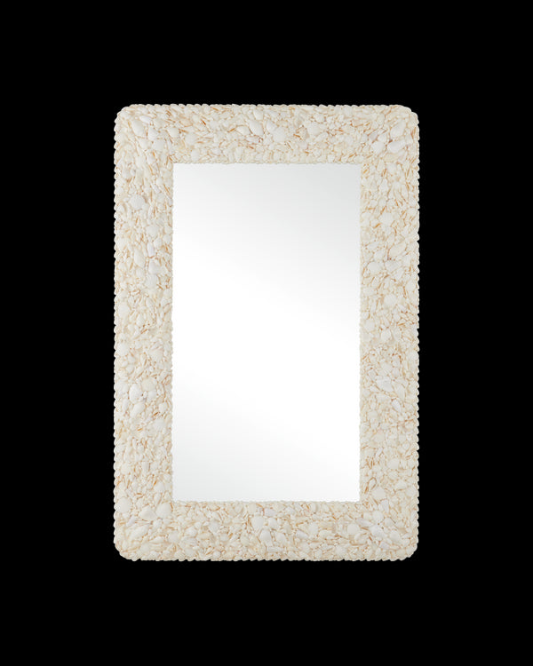 Currey & Company Turbinella Rectangular Mirror
