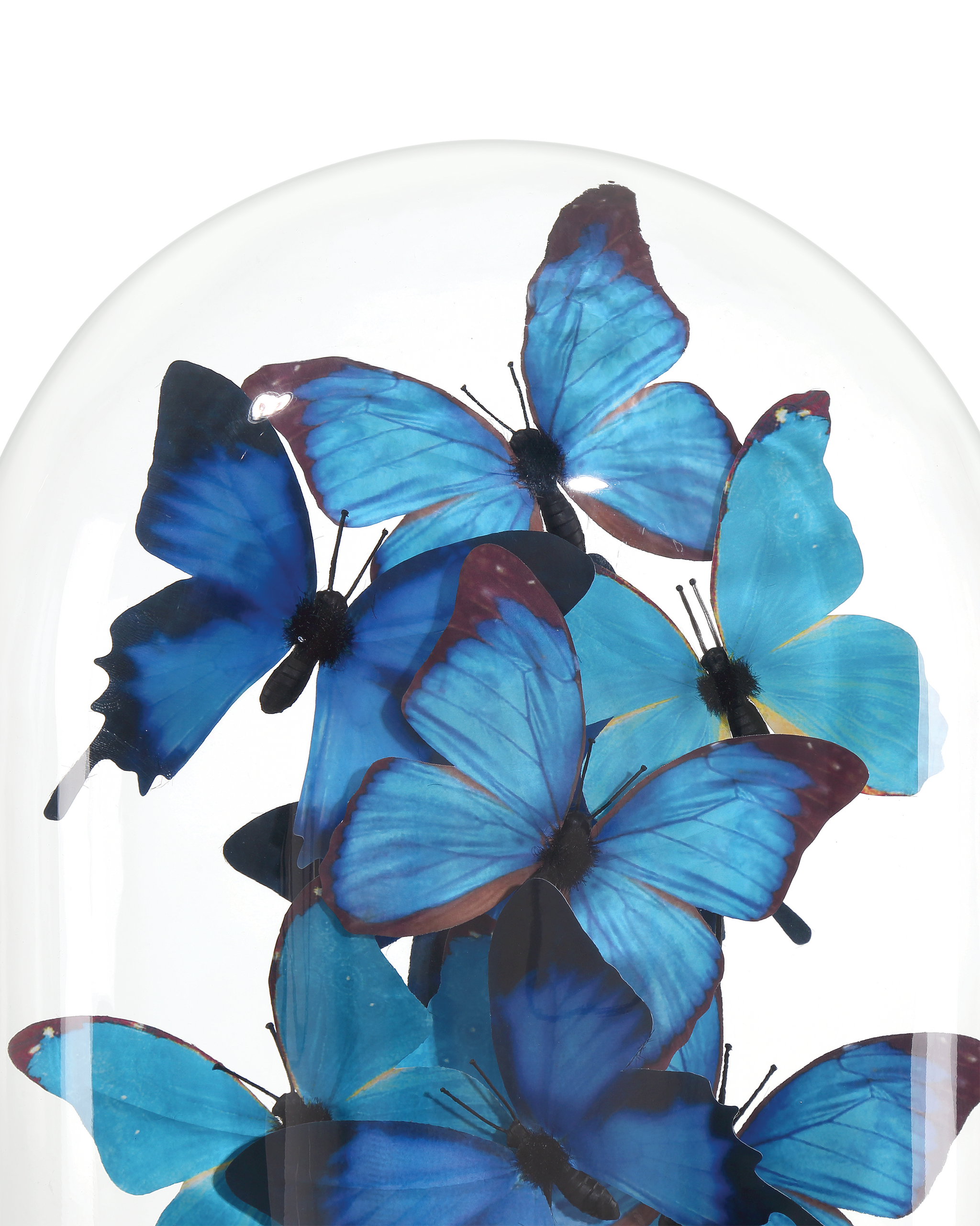 Currey & Company Rue De Bac Blue Medium Butterflies