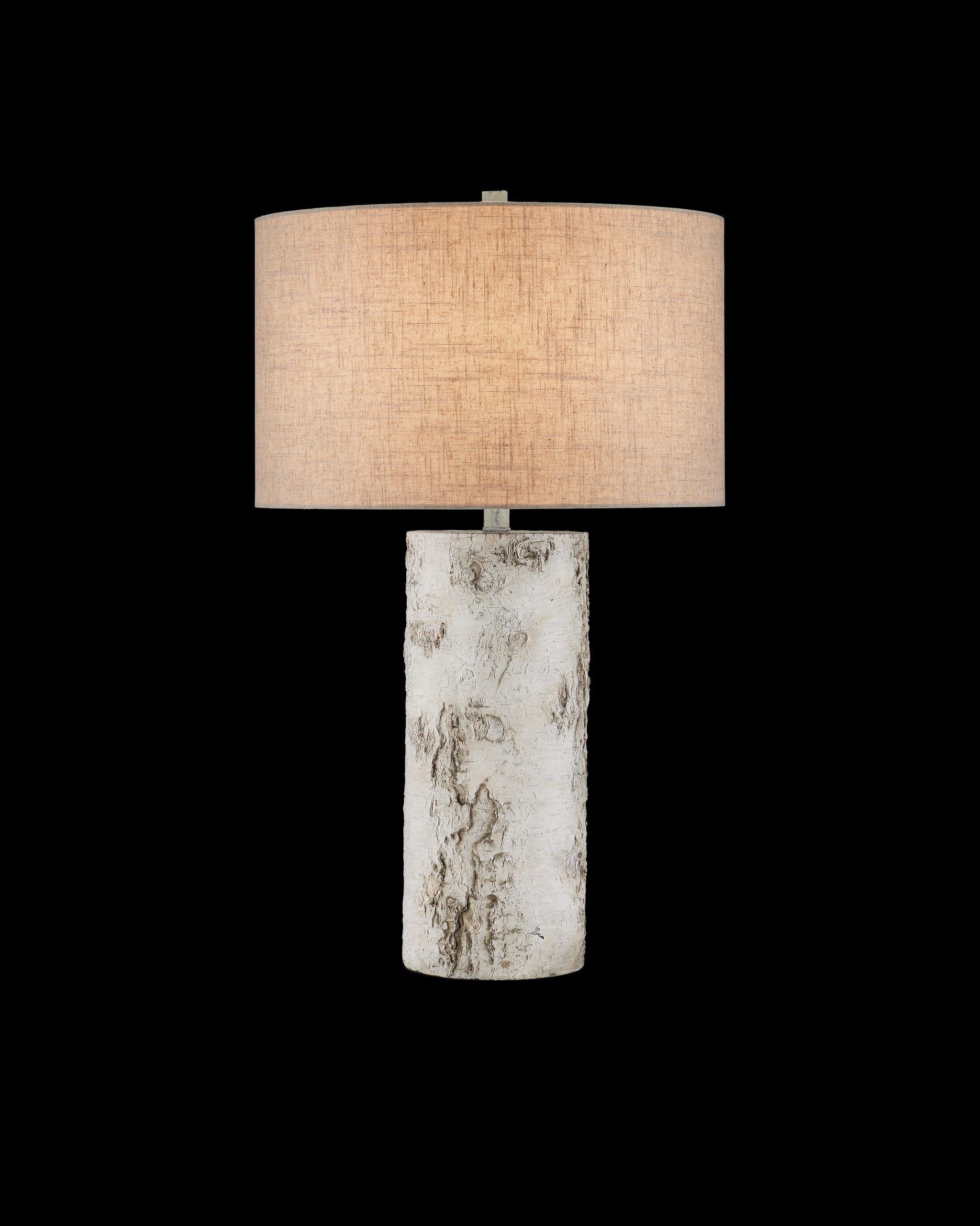 Currey & Company Faux Birch Table Lamp