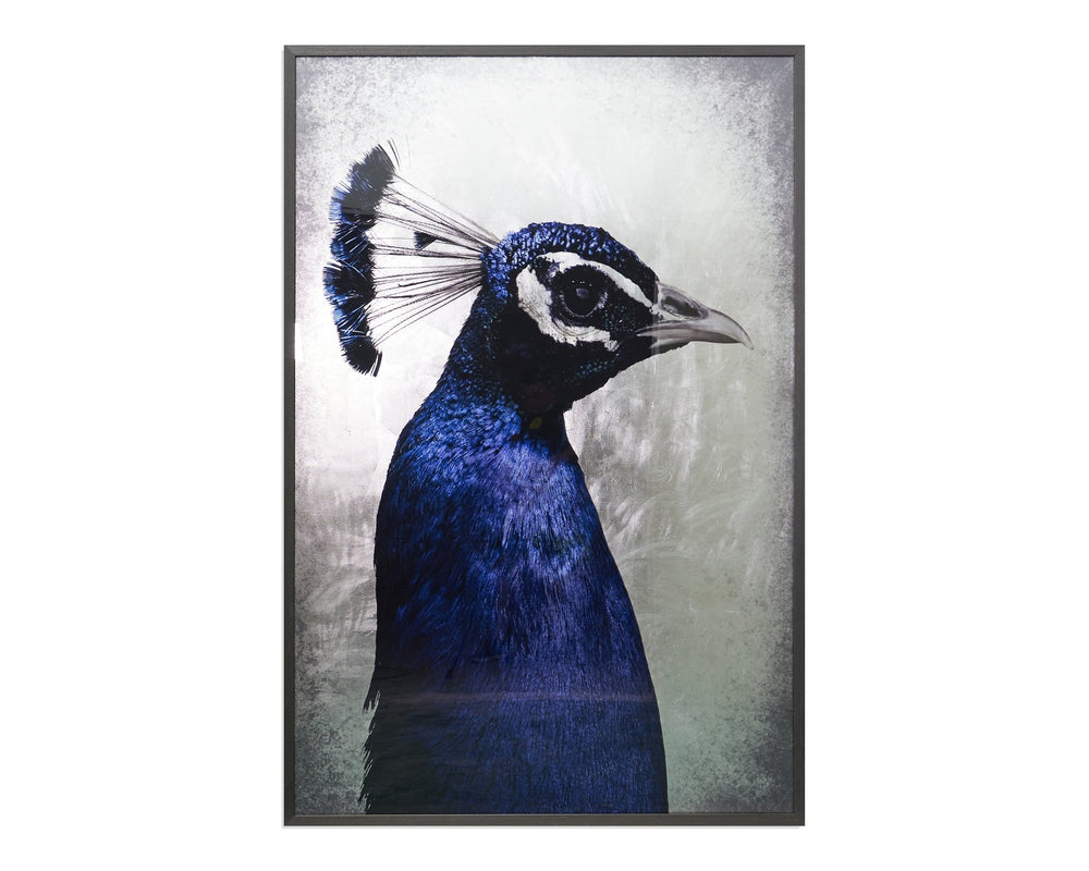 Sunpan The Peacock 48" X 72" Charcoal Frame