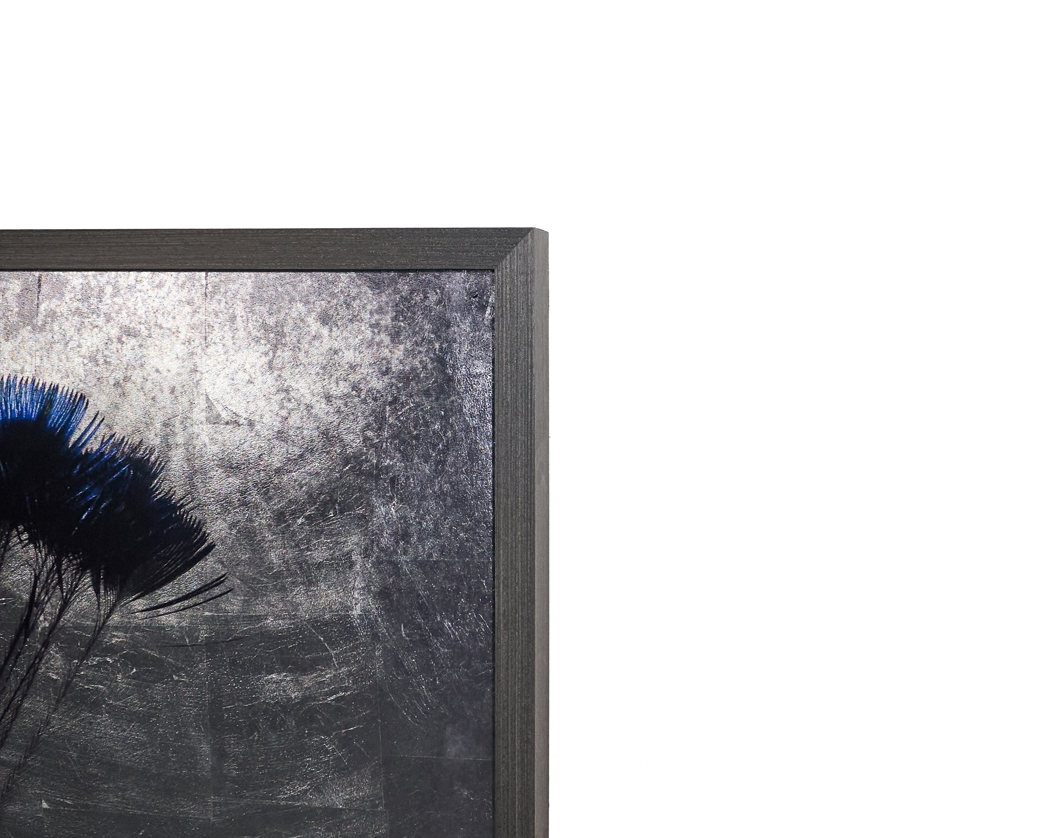 Sunpan The Peacock 48" X 72" Charcoal Frame