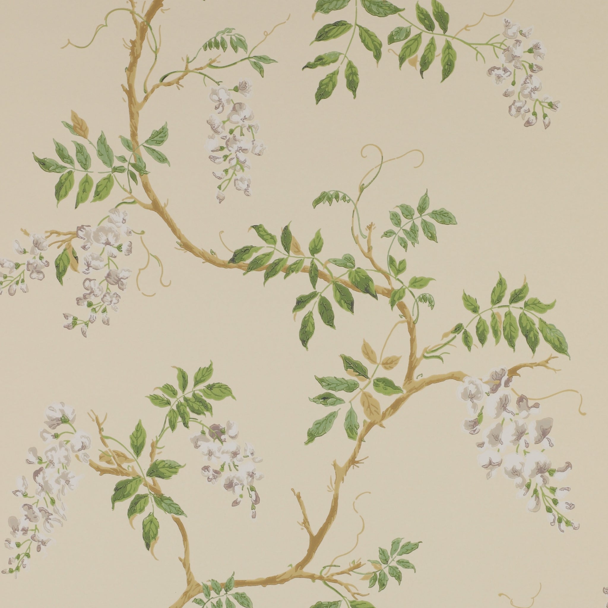 Colefax and Fowler Alderney Wallpaper