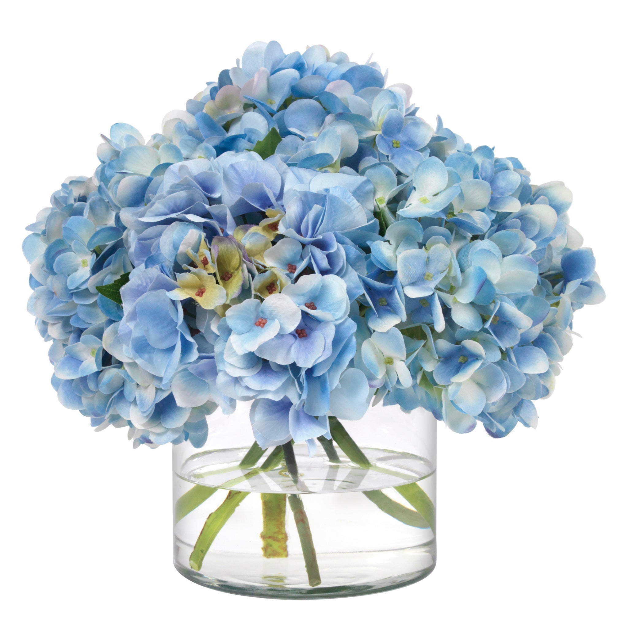 Diane James Blue Hydrangea In Glass Cylinder