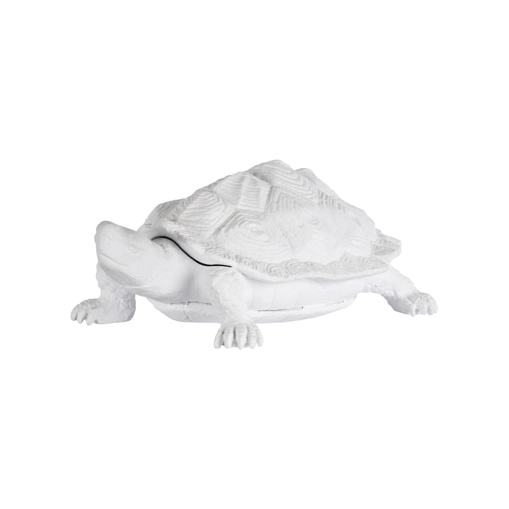 Chelsea House Turtle White