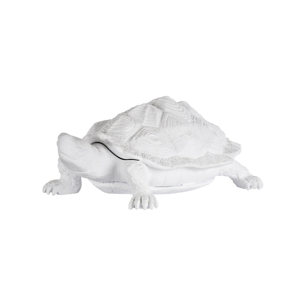 Chelsea House Turtle White