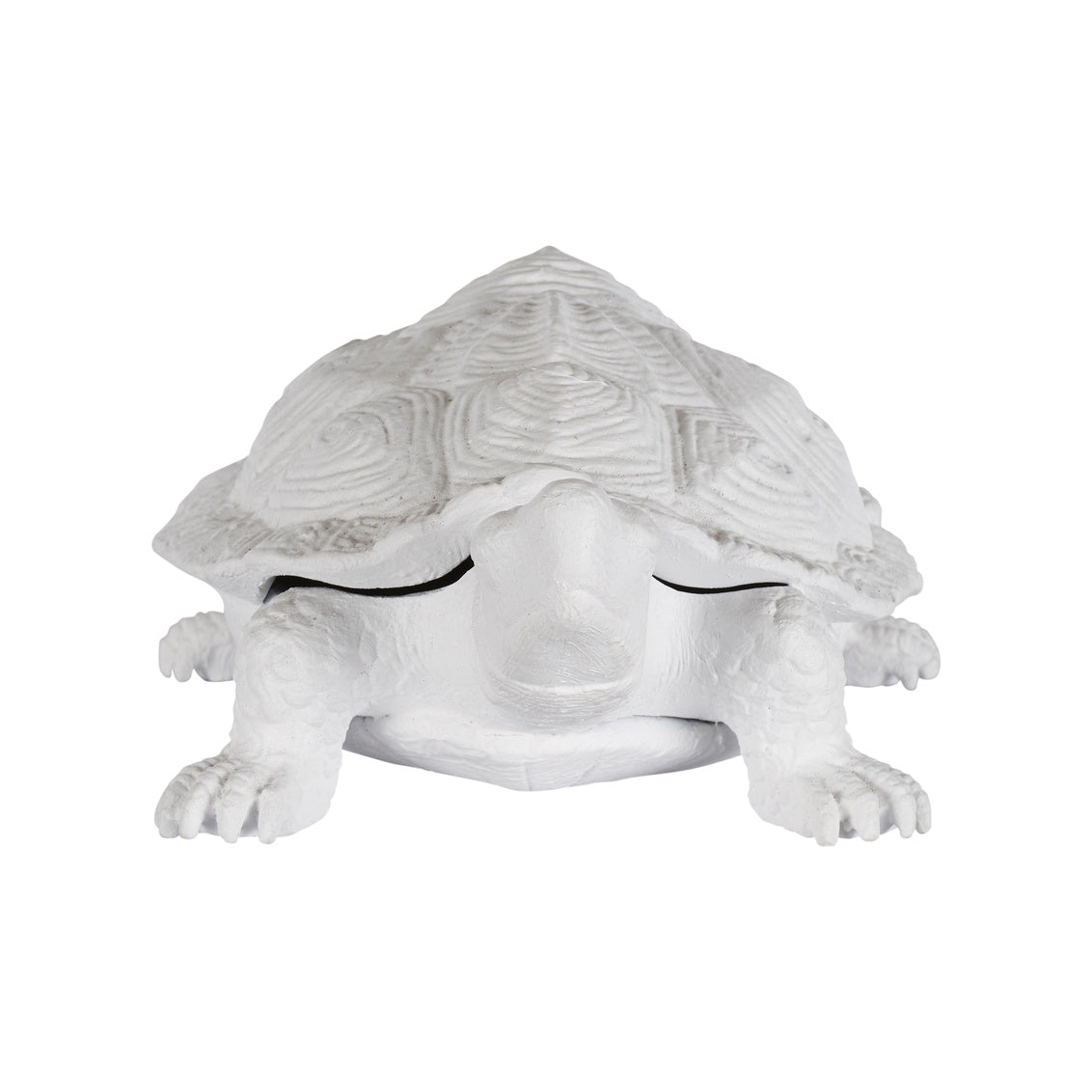 Chelsea House Turtle White