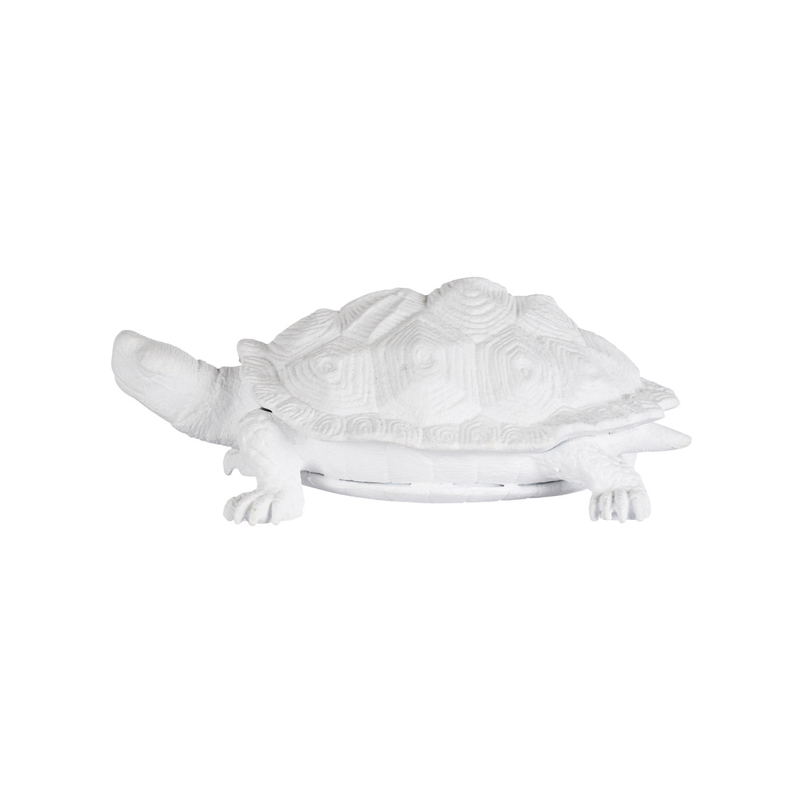 Chelsea House Turtle White