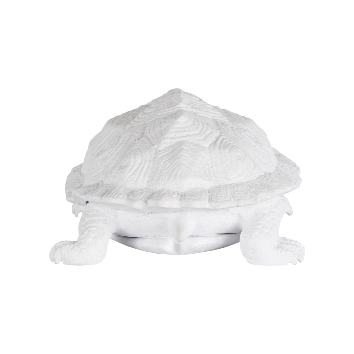 Chelsea House Turtle White