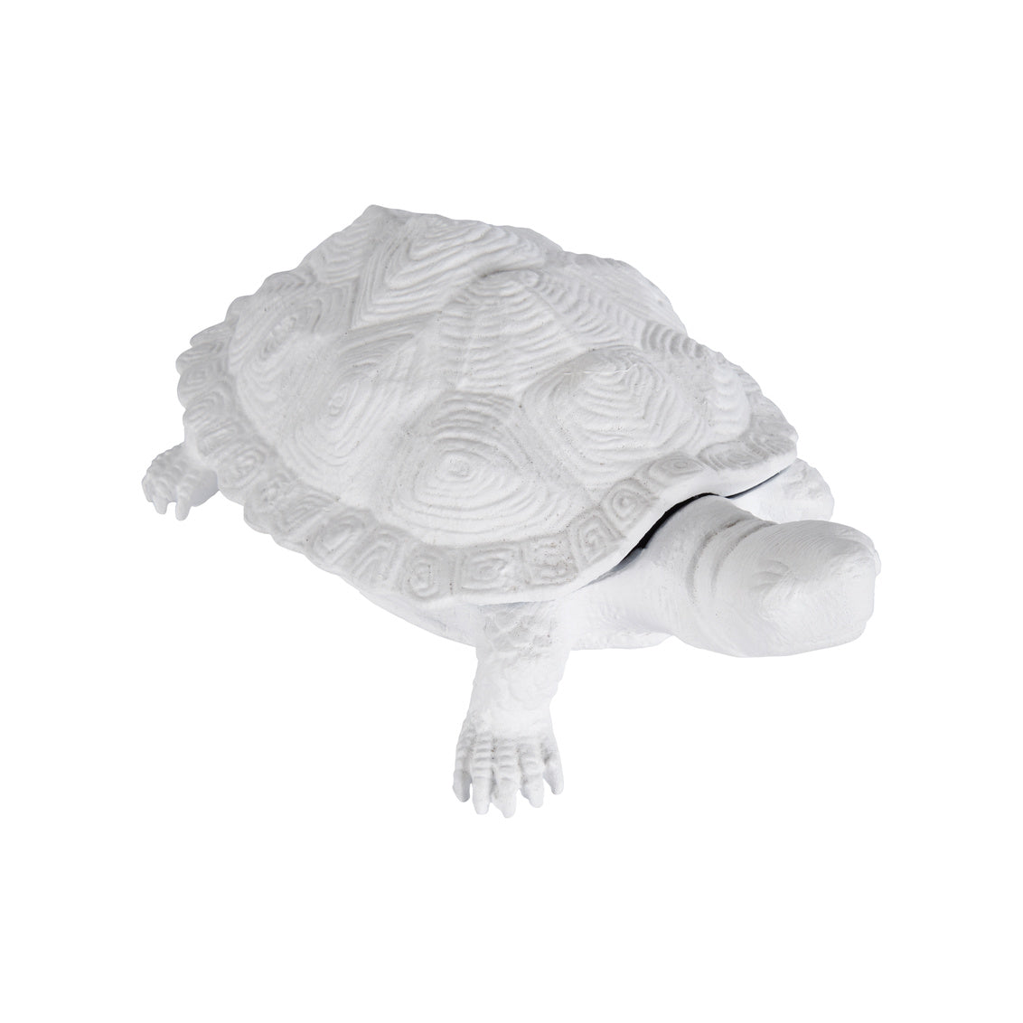 Chelsea House Turtle White